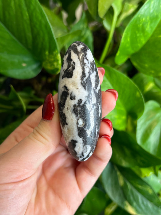 Zebra Jasper Jelly Bean - Large