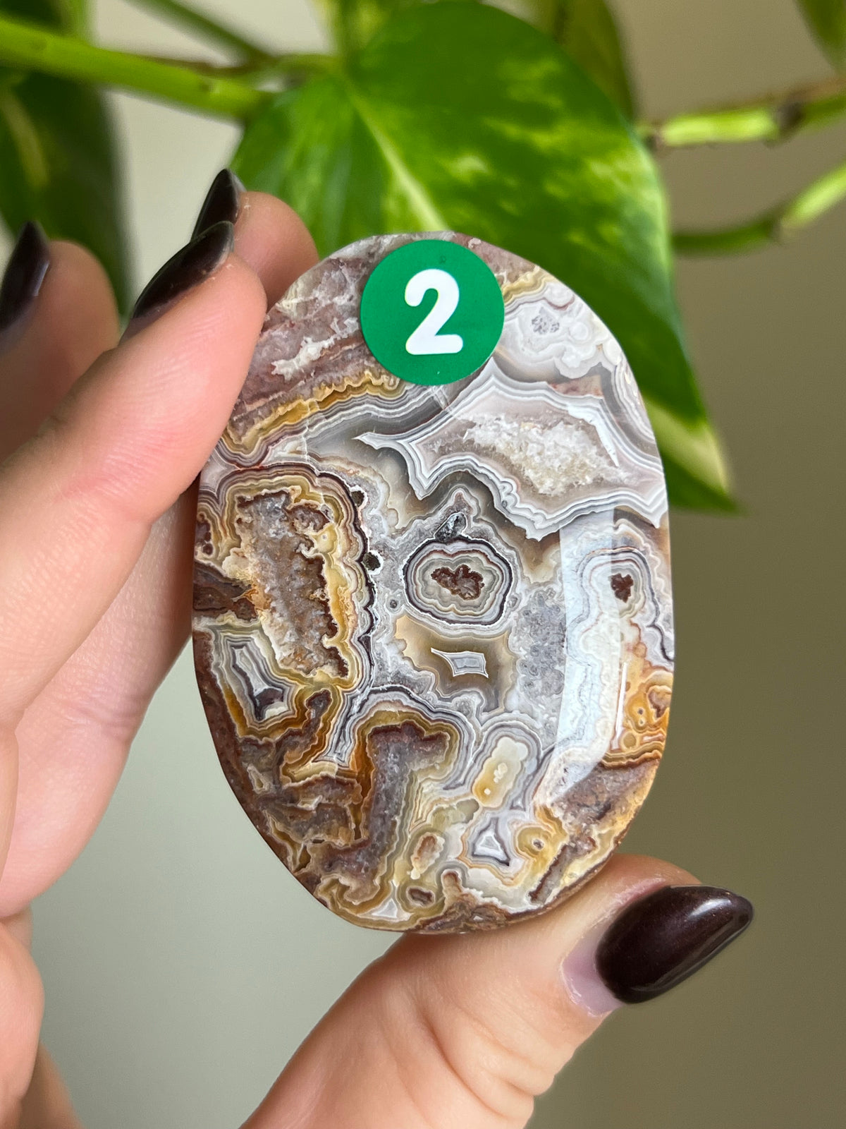 Druzy Mexican Lace Agate Palm Stone - 2
