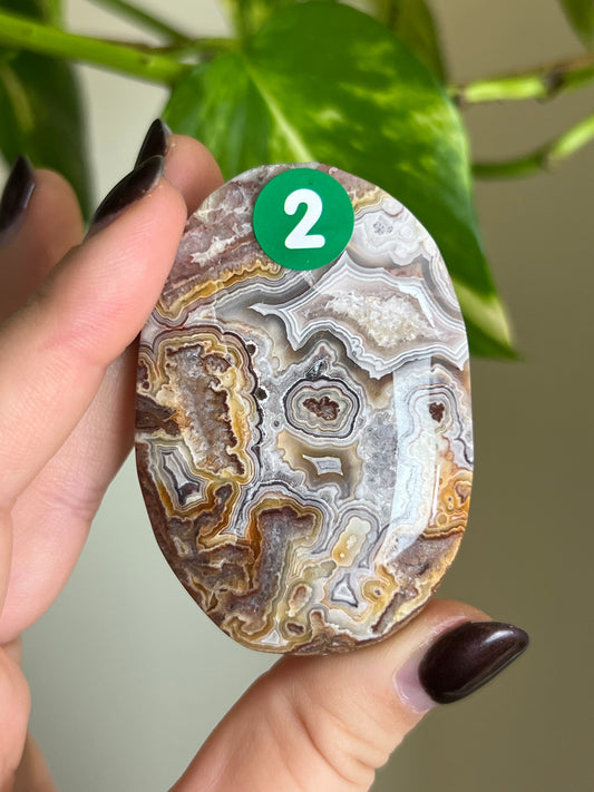 Druzy Mexican Lace Agate Palm Stone - 2