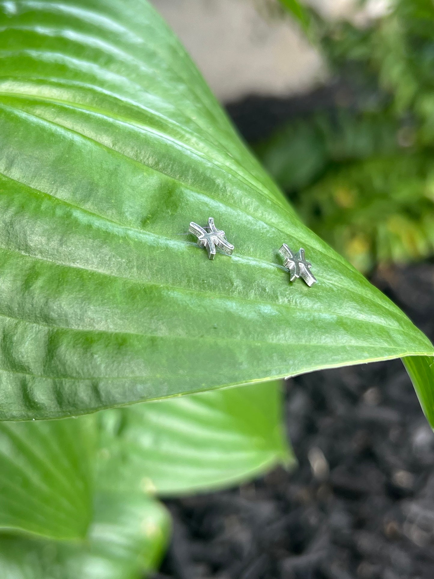 Pisces Silver Zodiac Sign Studs ♓️