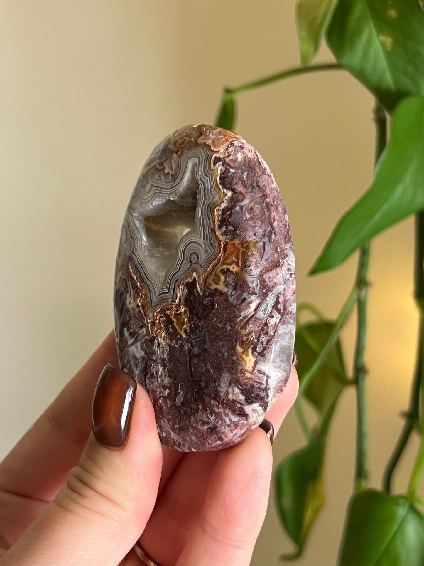 Mexican Lace Agate Palm Stone