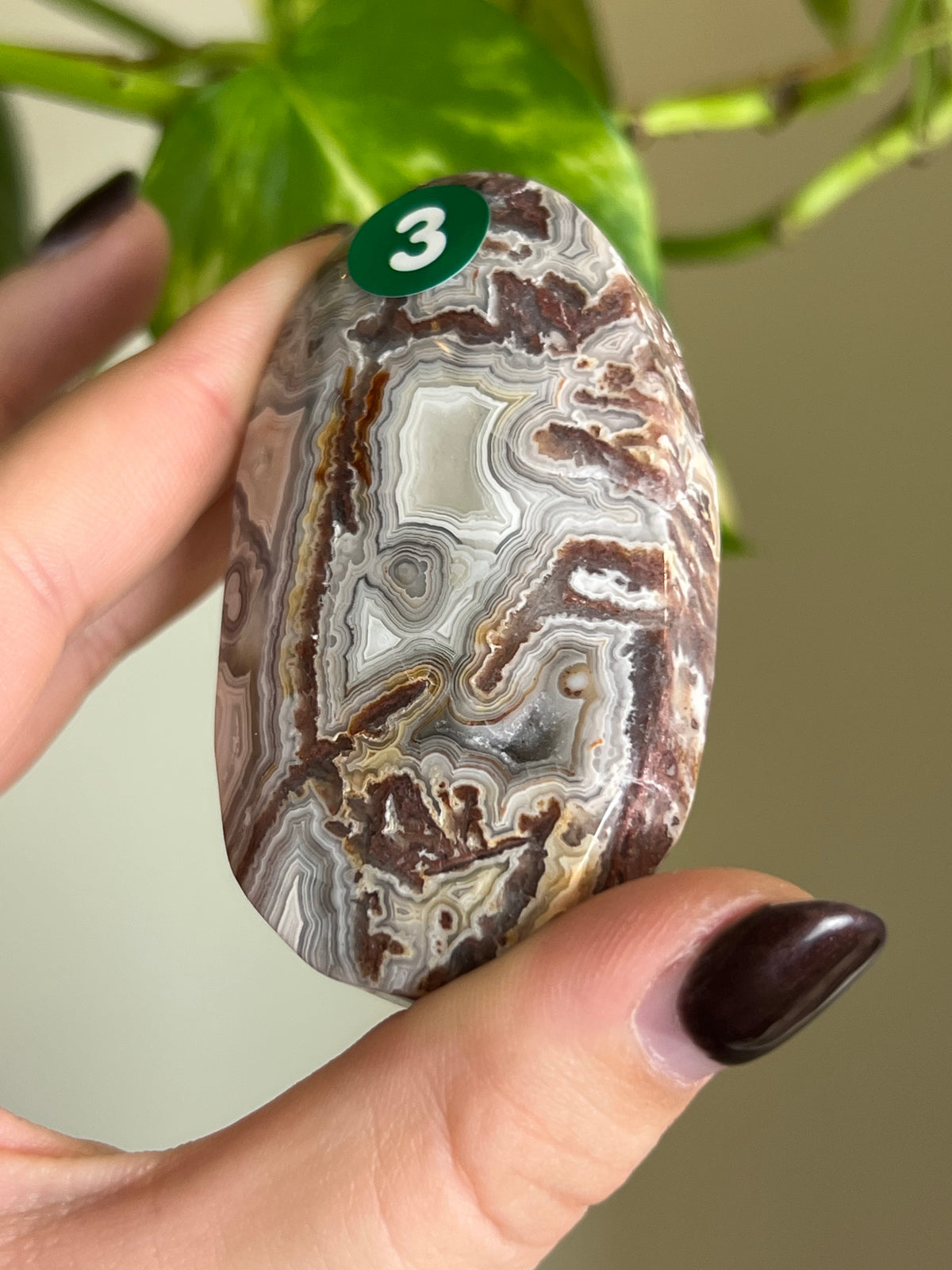Druzy Mexican Lace Agate Palm Stone - 3