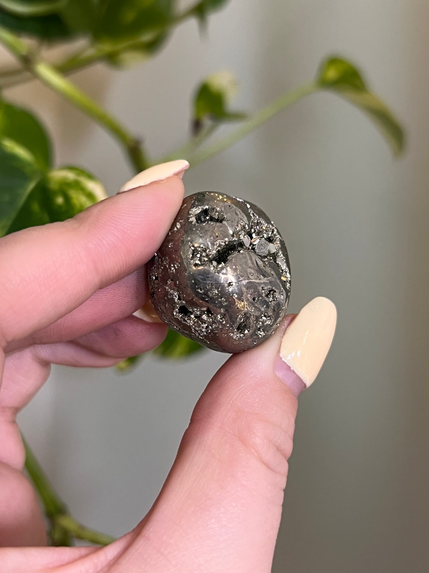 Pyrite Geode Tumbled