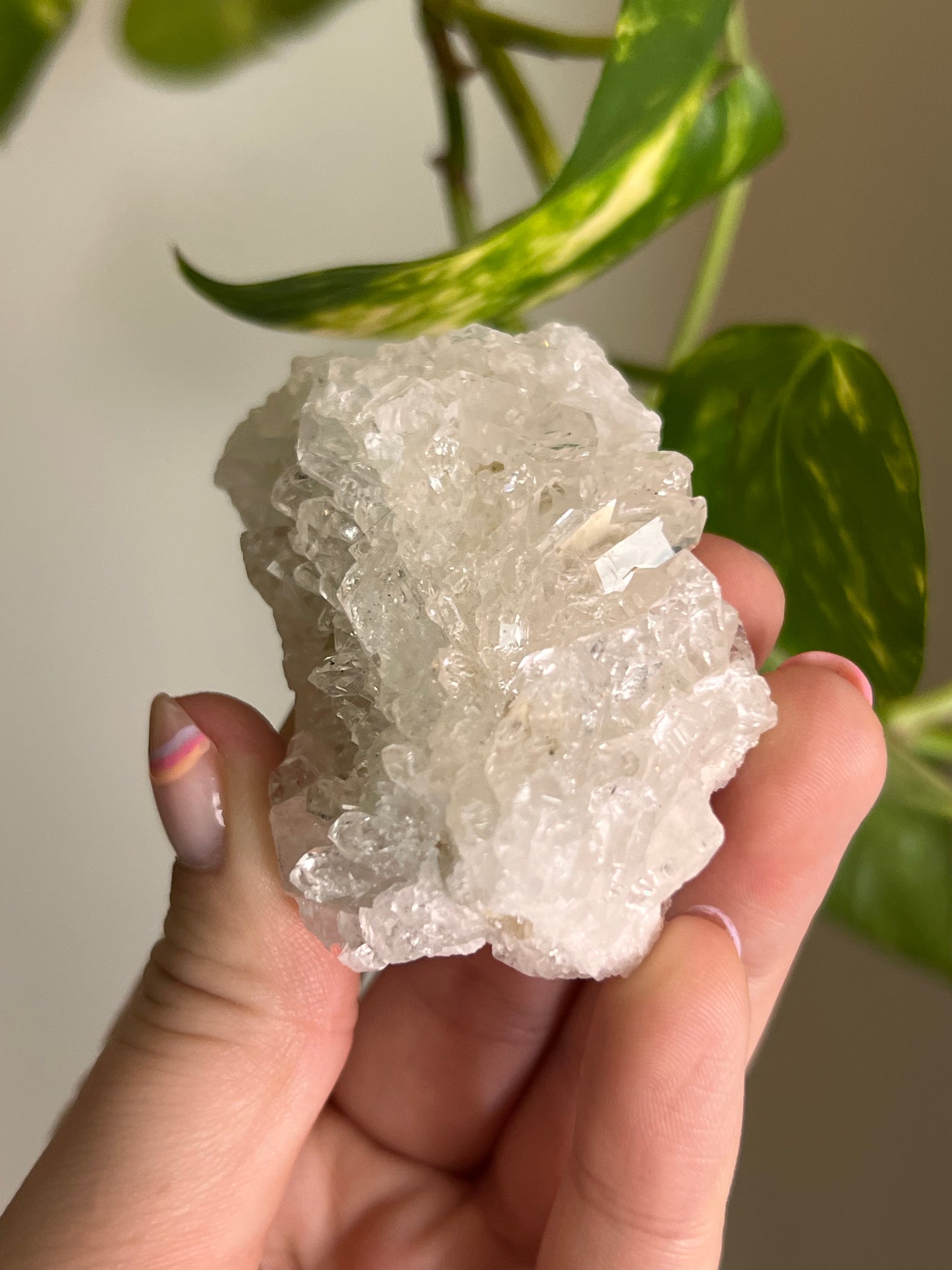 Clear Quartz Cluster - K