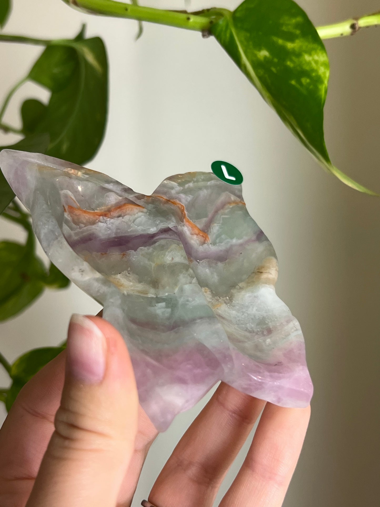 Rainbow Fluorite Butterfly Dish - L