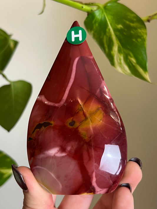 Mookaite Jasper Freeform - H