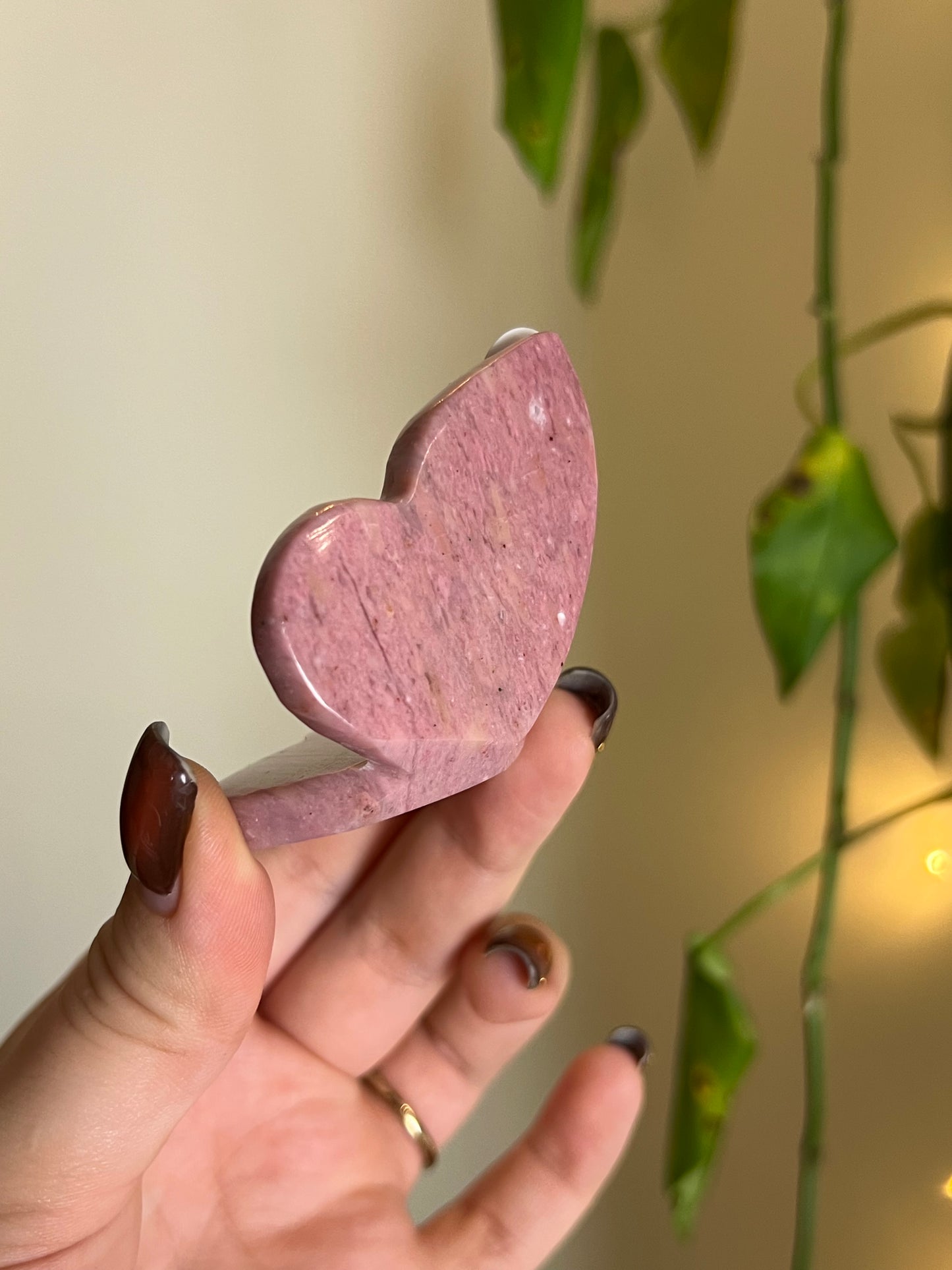 Pink Petrified Wood 3D Butterfly - J