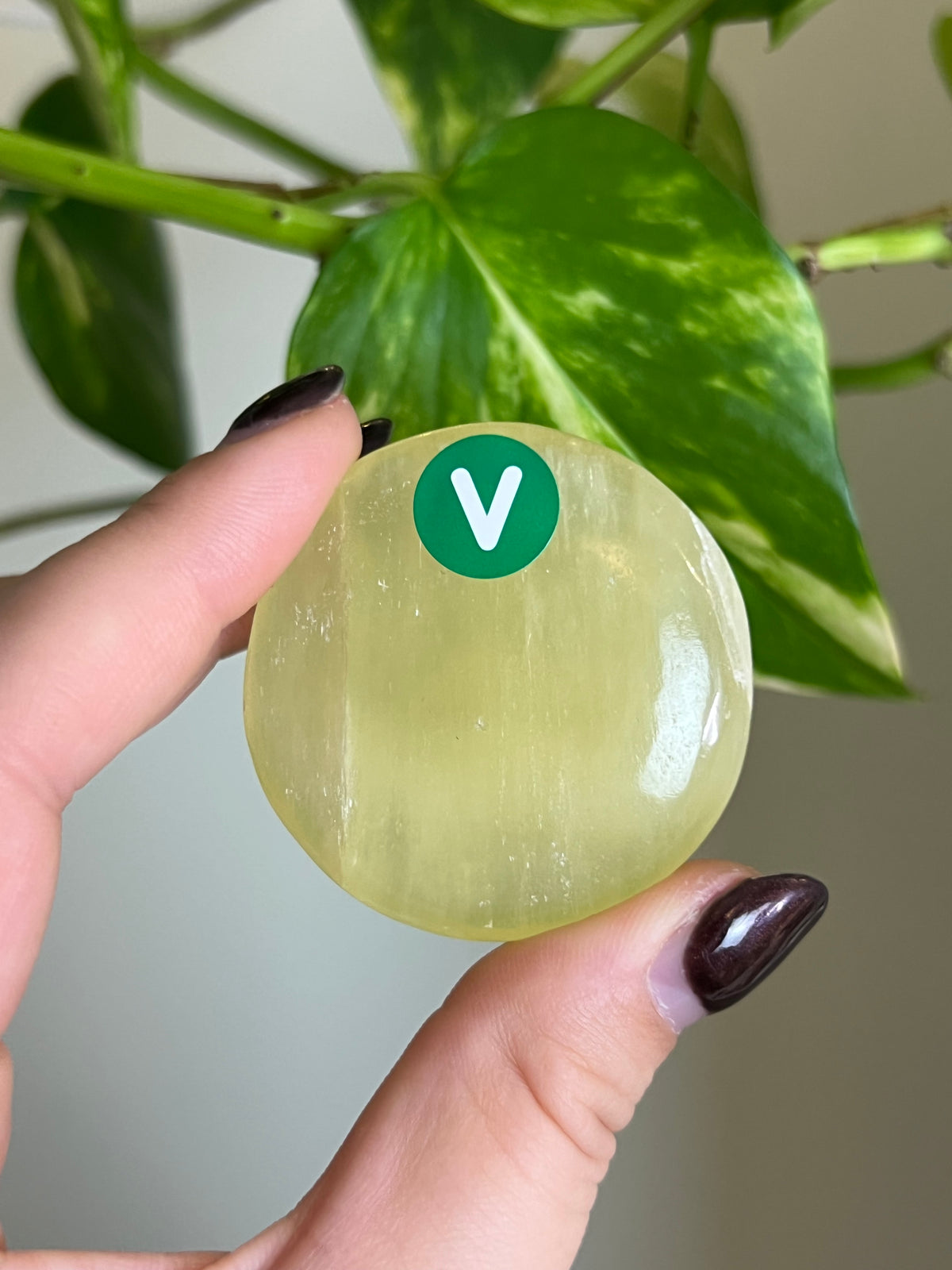 Lemon Calcite Flat Stone - V