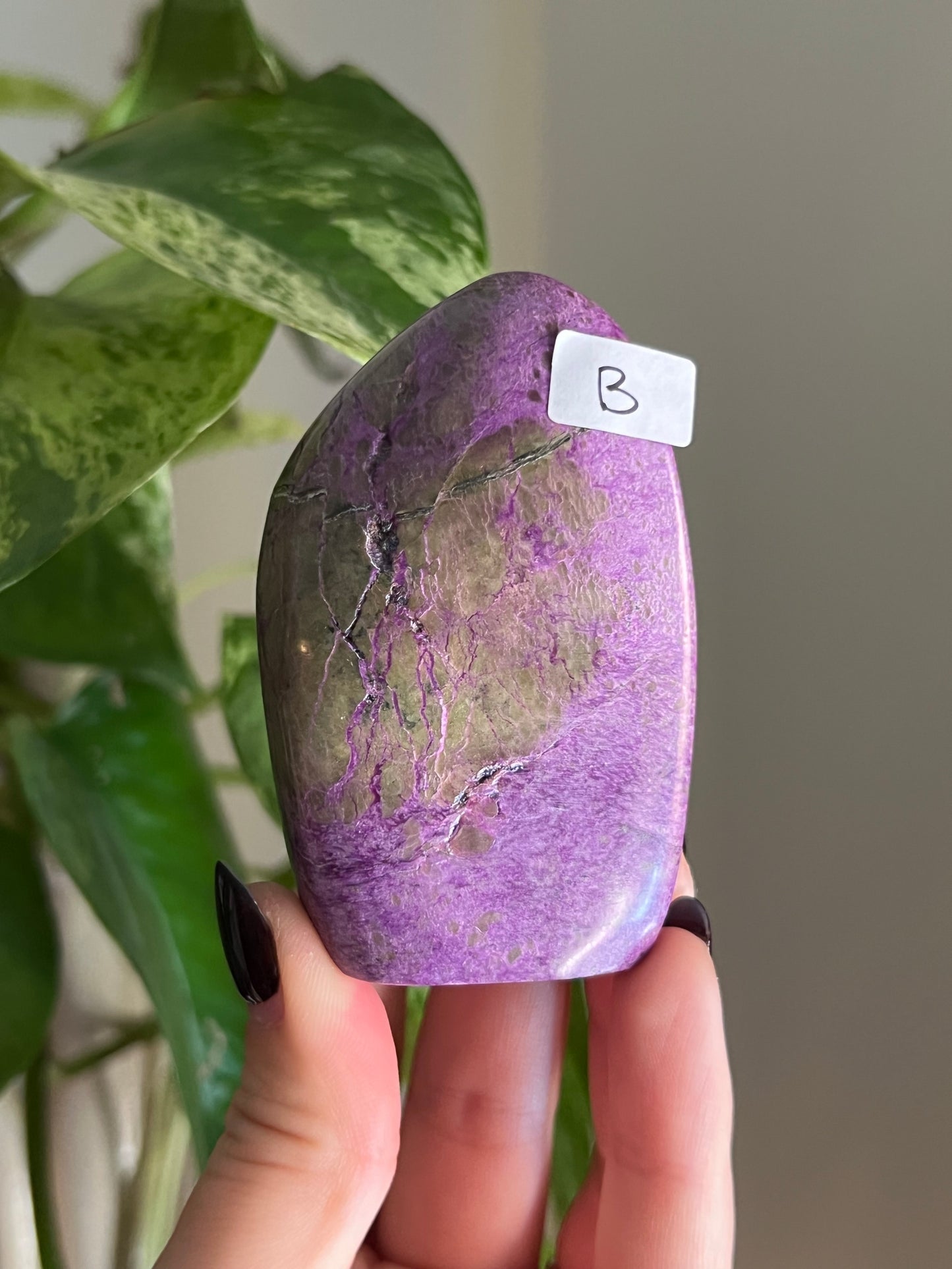 Purple Stichtite and Serpentine (Atlantisite) Freeform | Choose Your Own