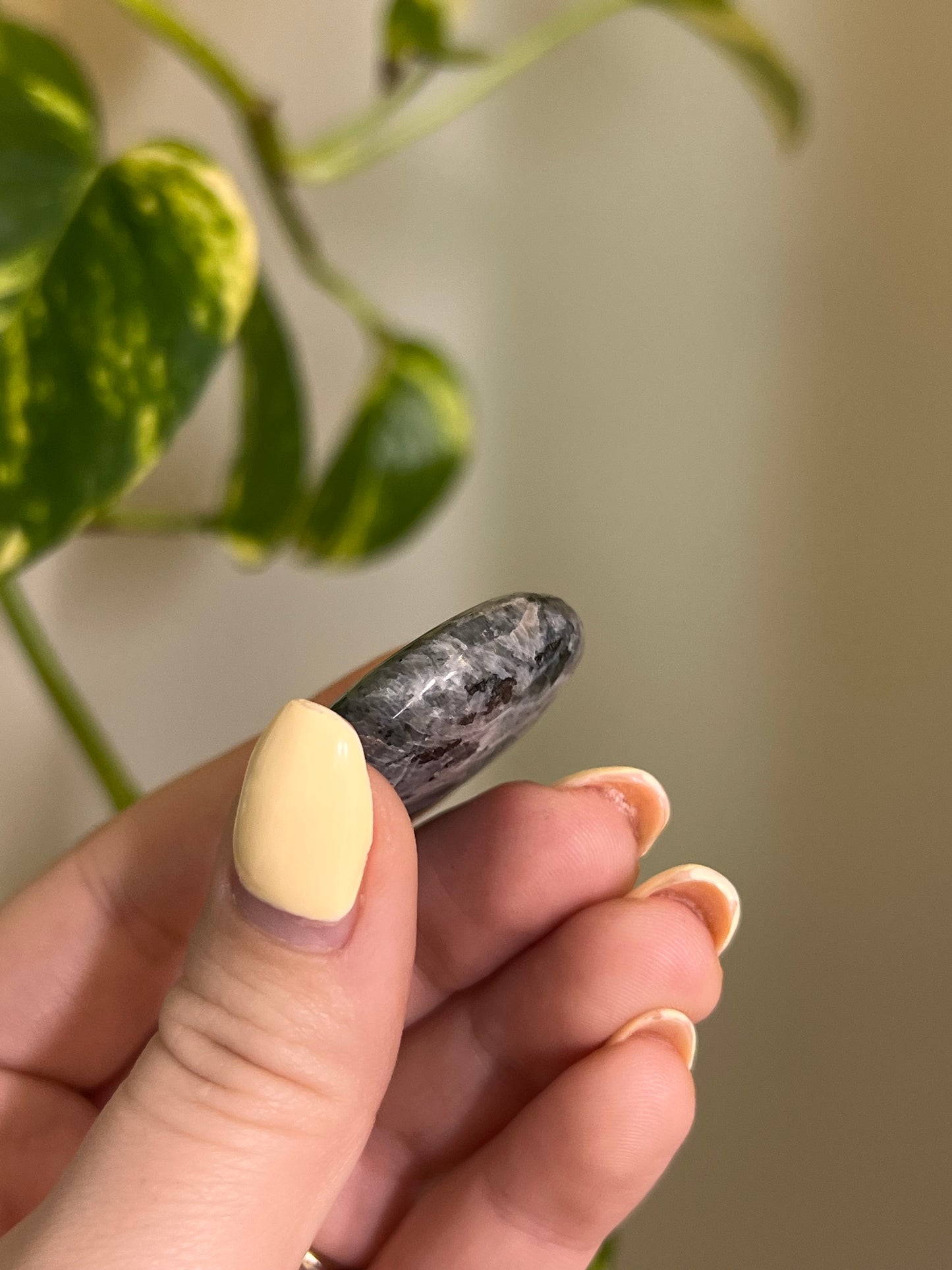 Larvikite Button
