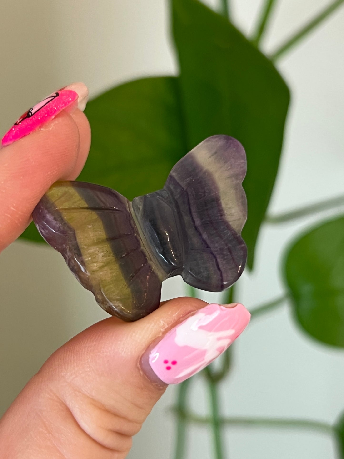 Rainbow Fluorite Butterfly