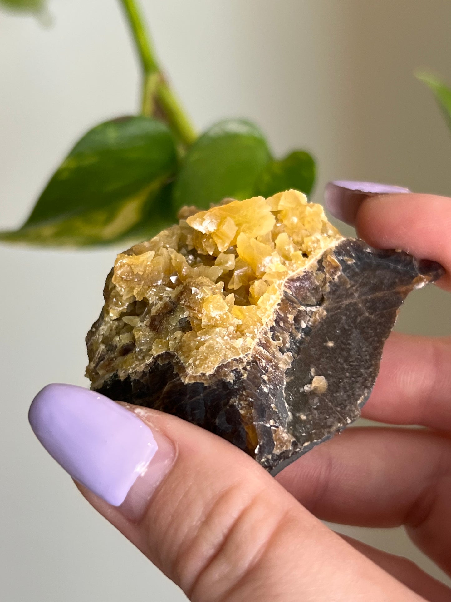 Yellow Calcite - V