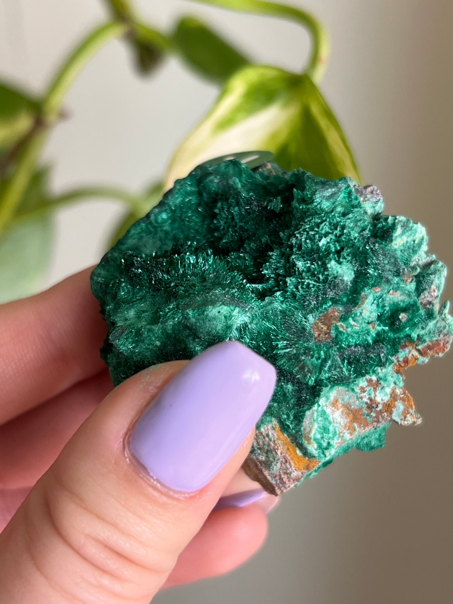 Fibrous Malachite - V