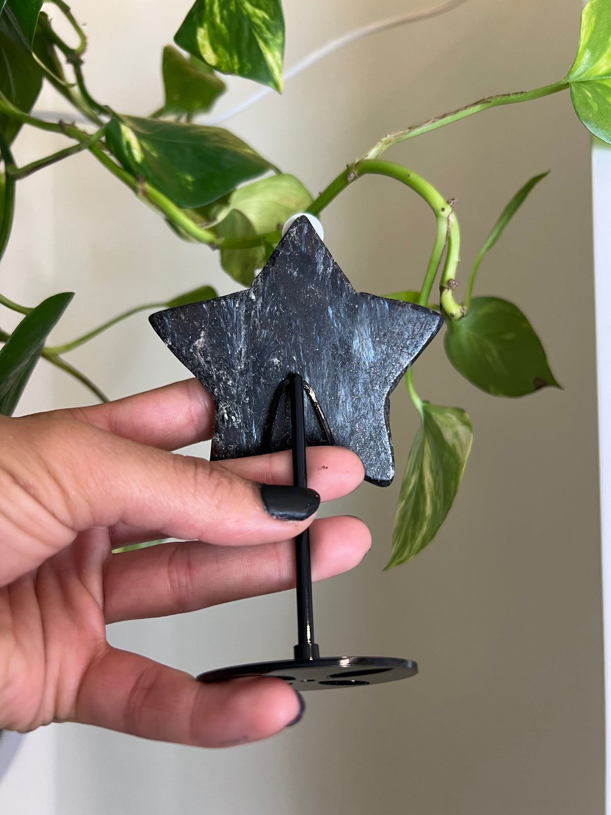 Flashy Astrophyllite Star on Stand - 3