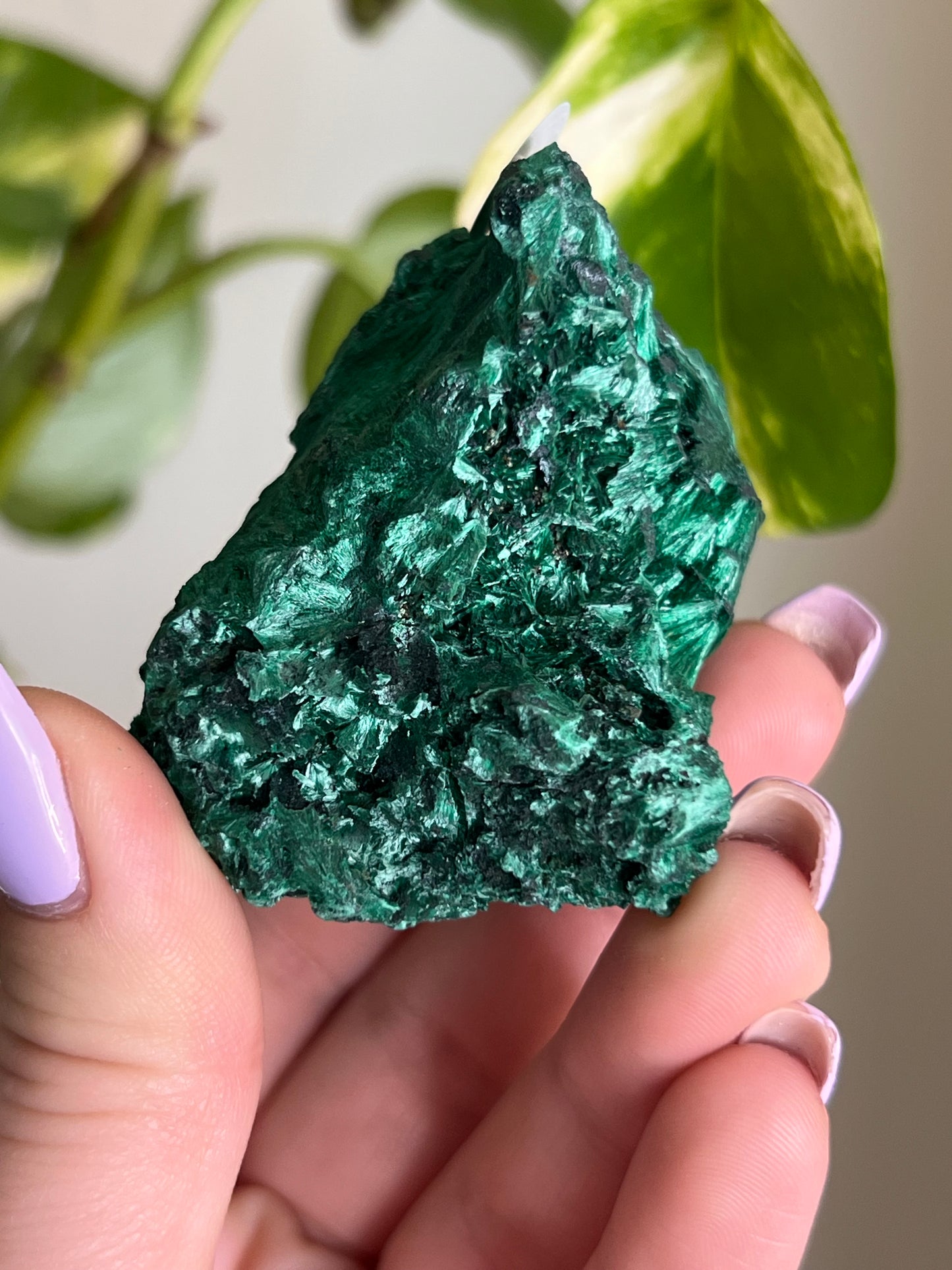 Fibrous Malachite - E