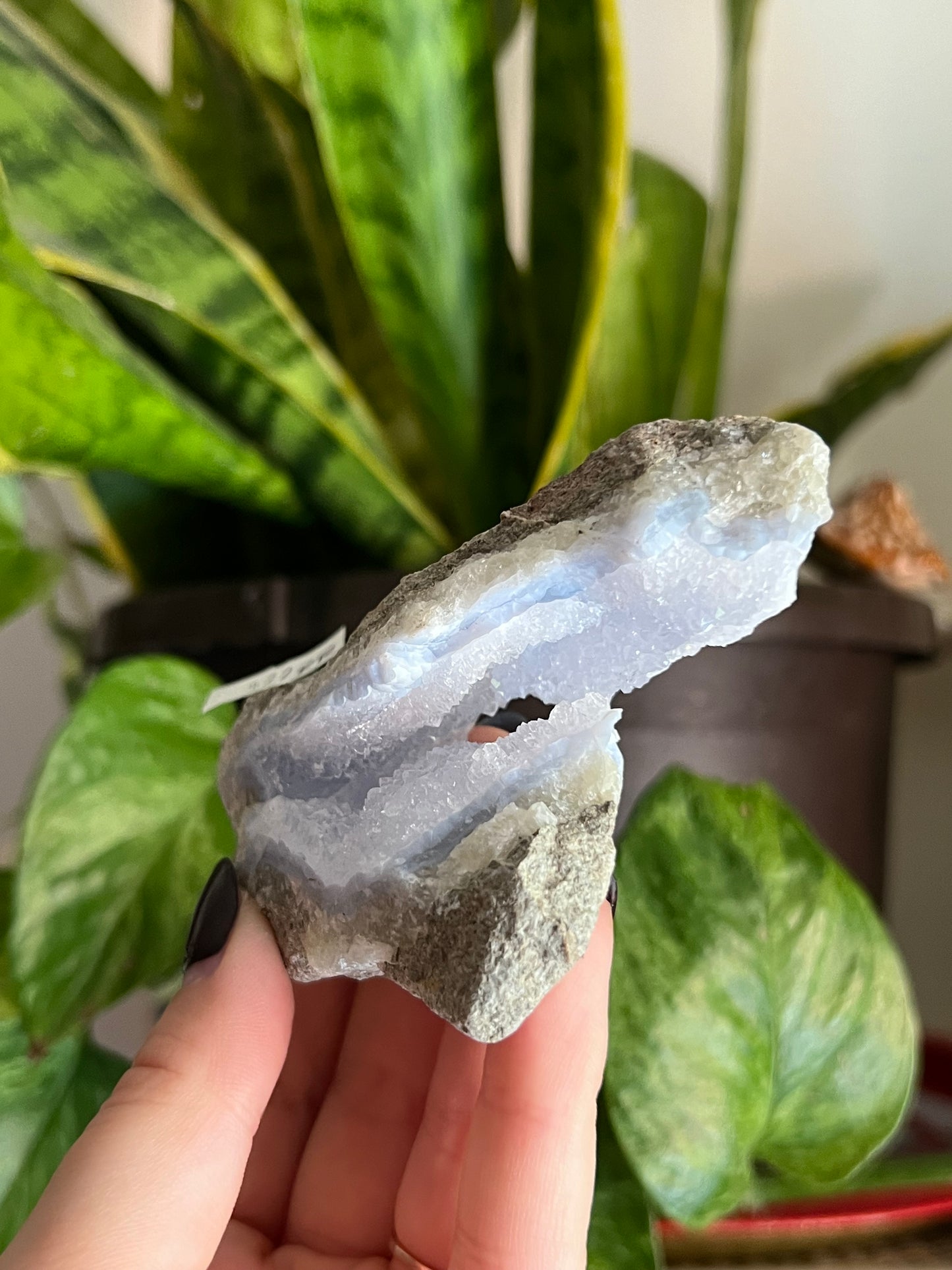 Druzy Blue Lace Agate | Choose Your Own