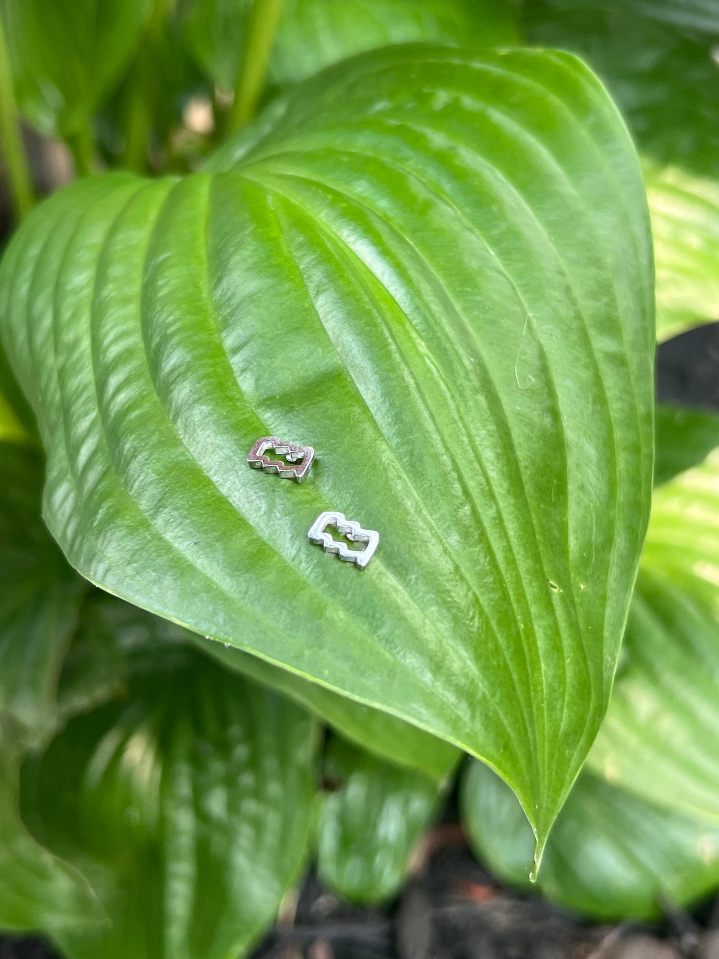 Aquarius Silver Zodiac Sign Studs ♒️