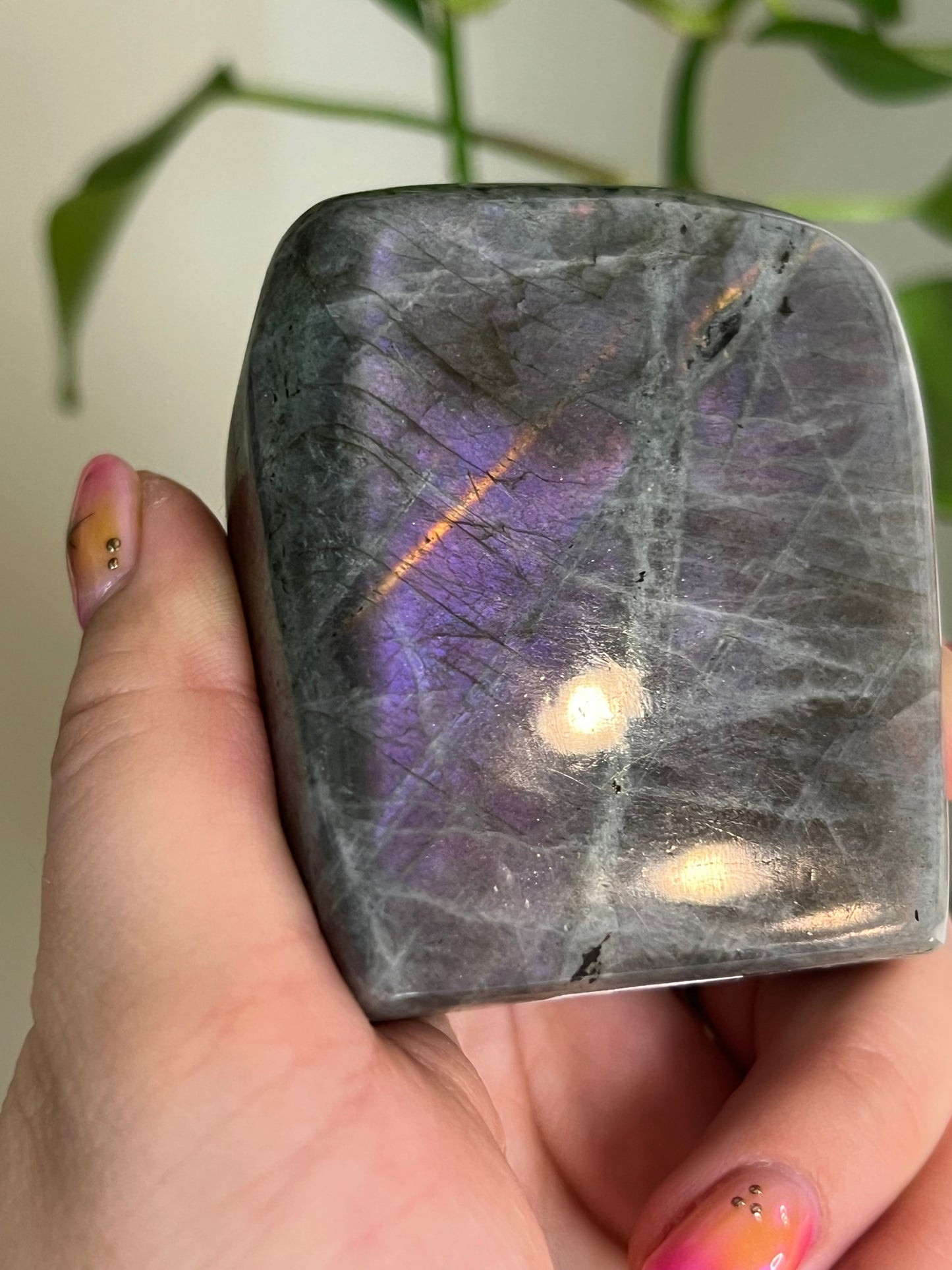 Flashy Pink and Orange Labradorite Freeform - N