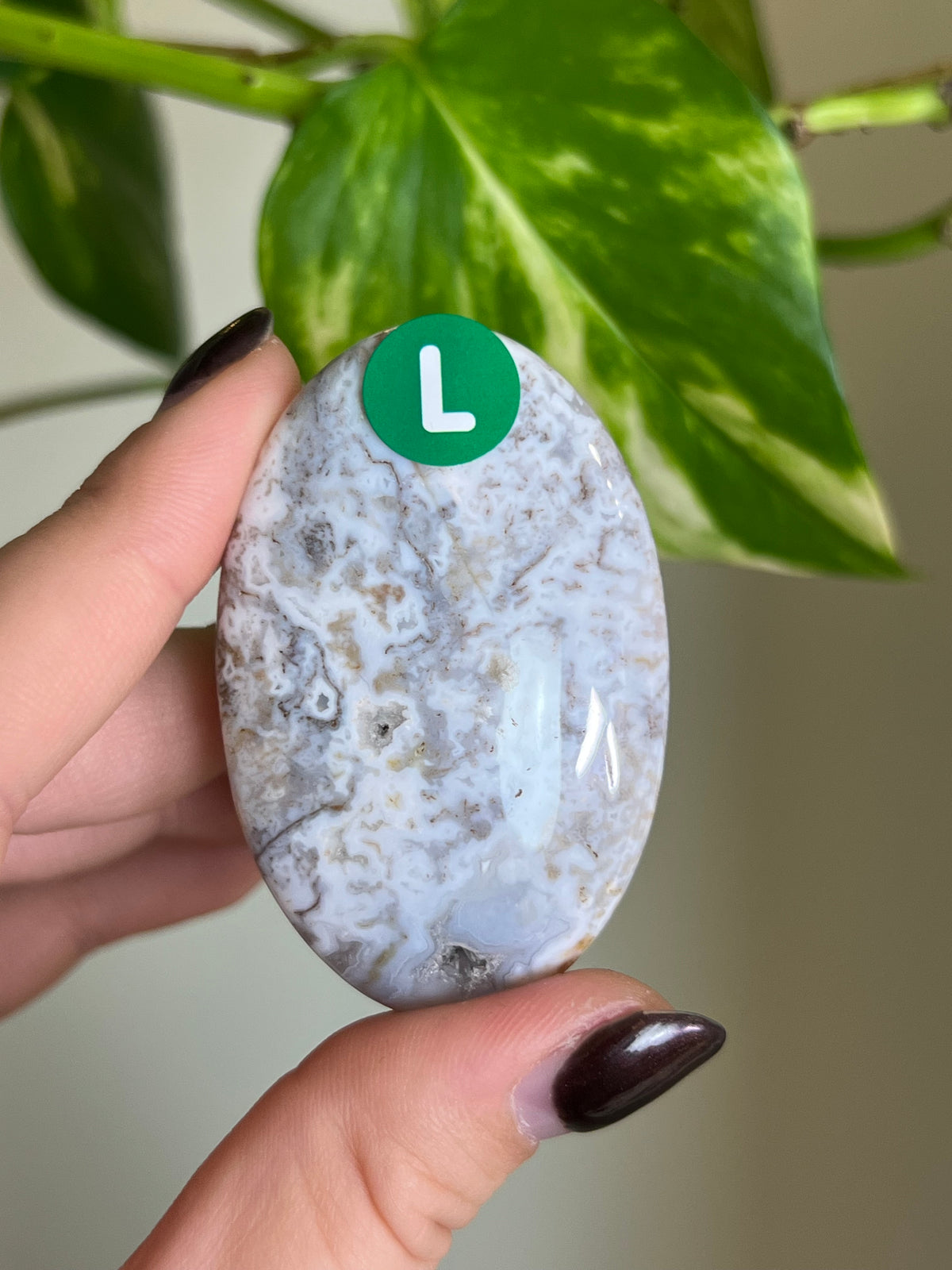 White Moss Agate Small Palm Stone - L