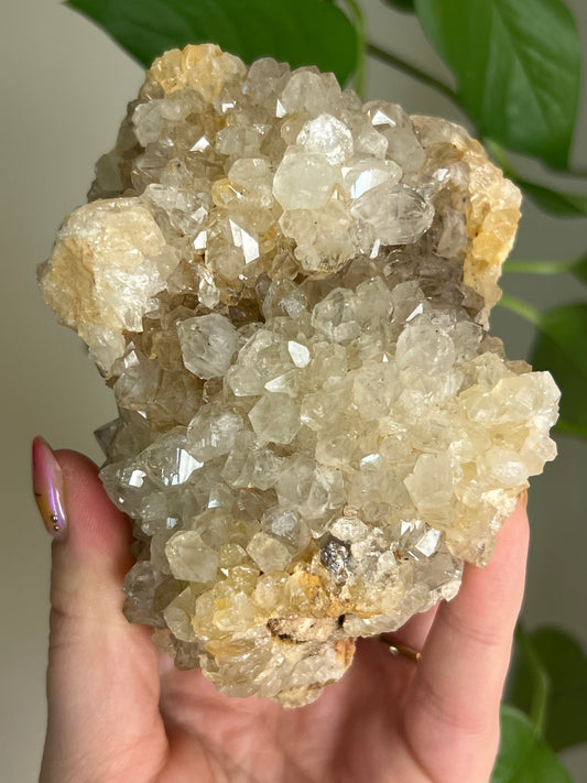 Limonite Cluster - B