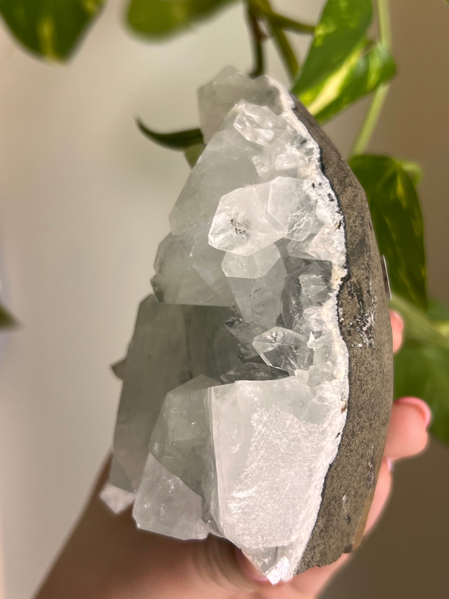 Apophyllite Cluster - H