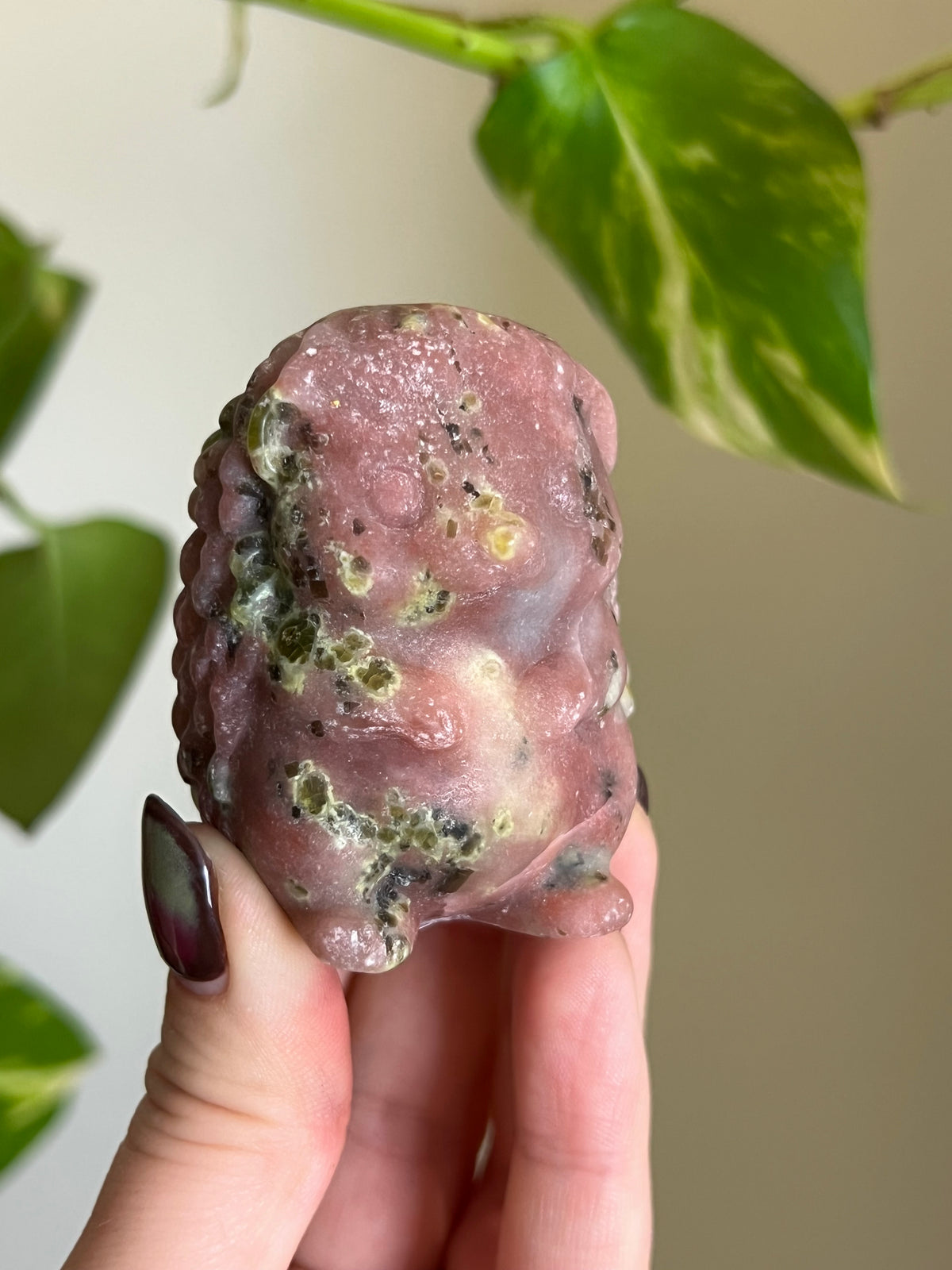 Plum Blossom Tourmaline x Serpentine Hedgehog