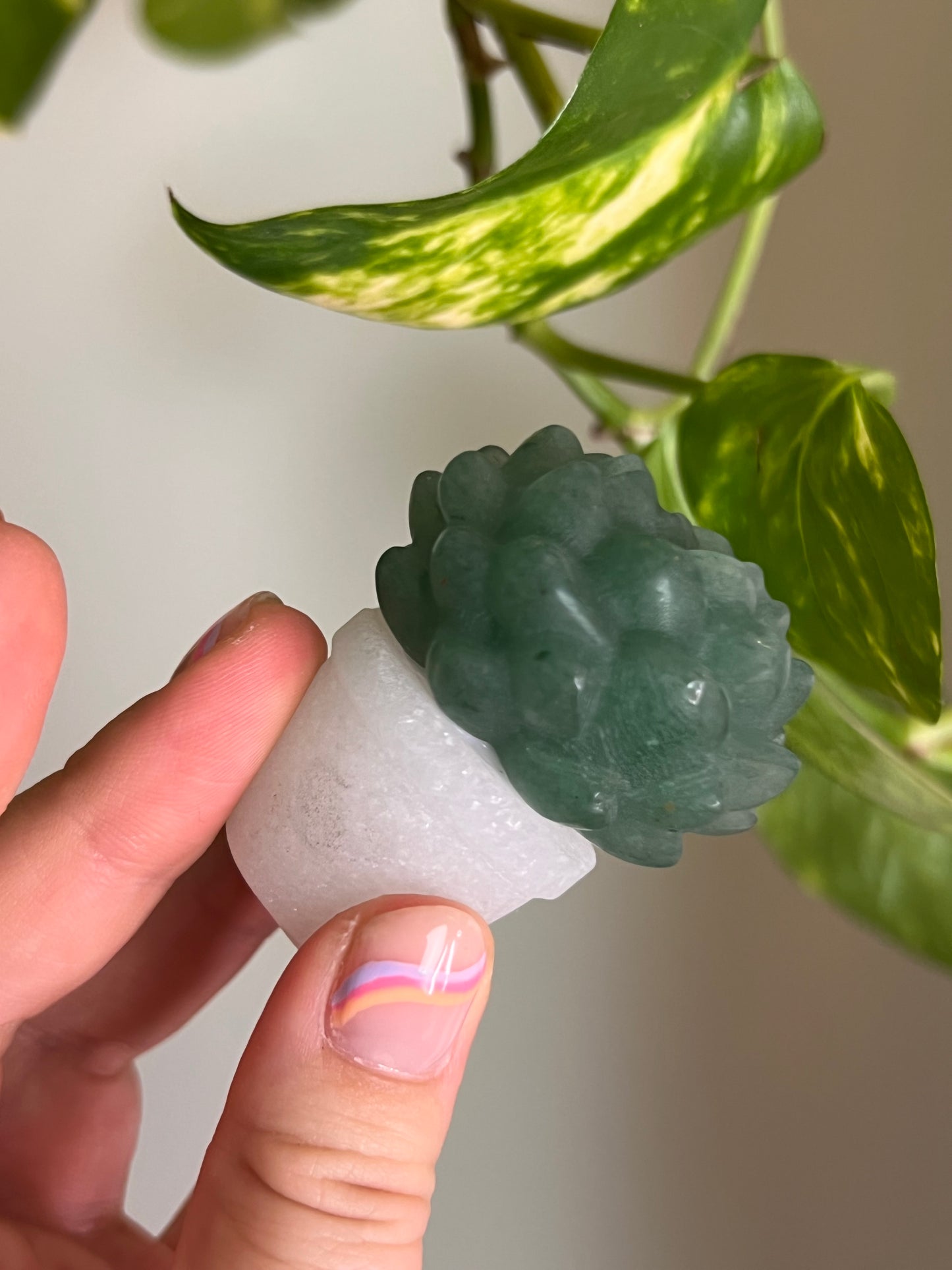 Green Aventurine Succulent + White Jade Pot