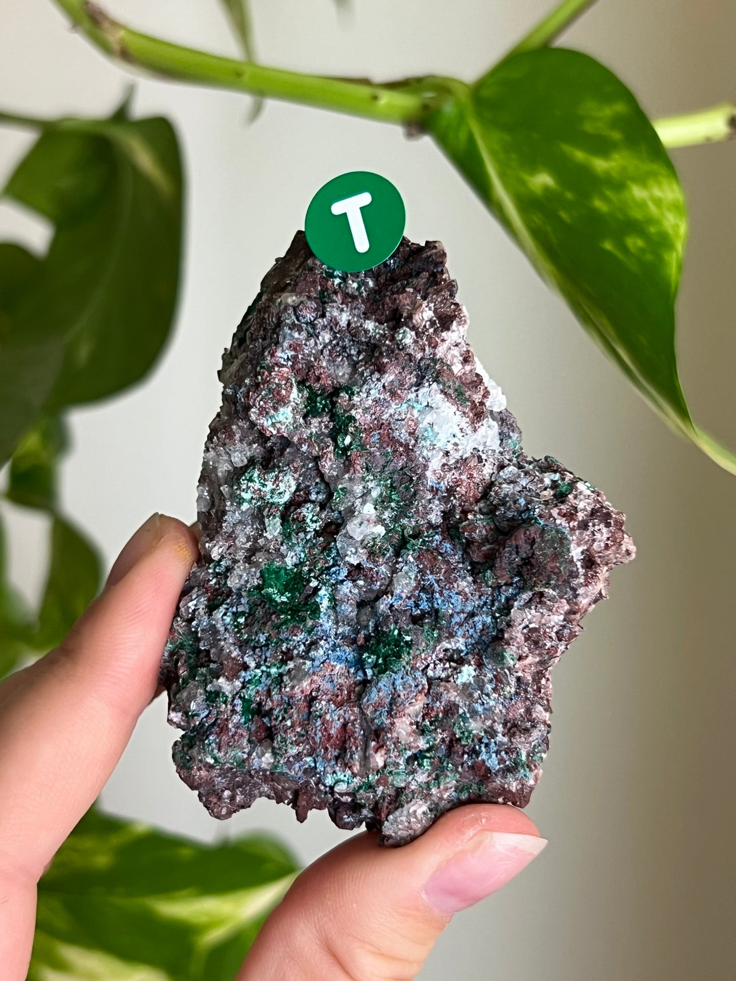 Druzy Malachite with Chrysocolla + Dolomite Sparkly Cluster - T