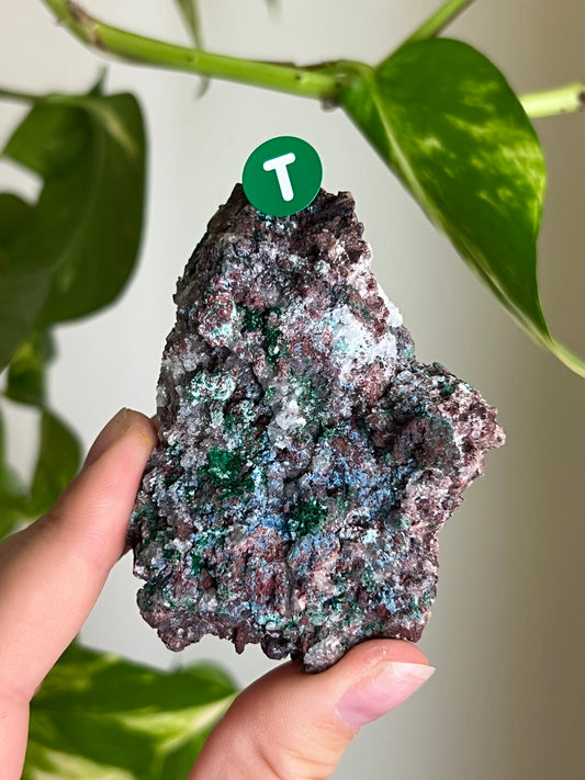 Druzy Malachite with Chrysocolla + Dolomite Sparkly Cluster - T