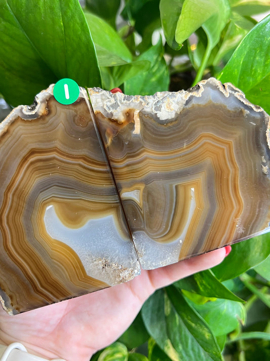 Agate Druzy Bookends - i