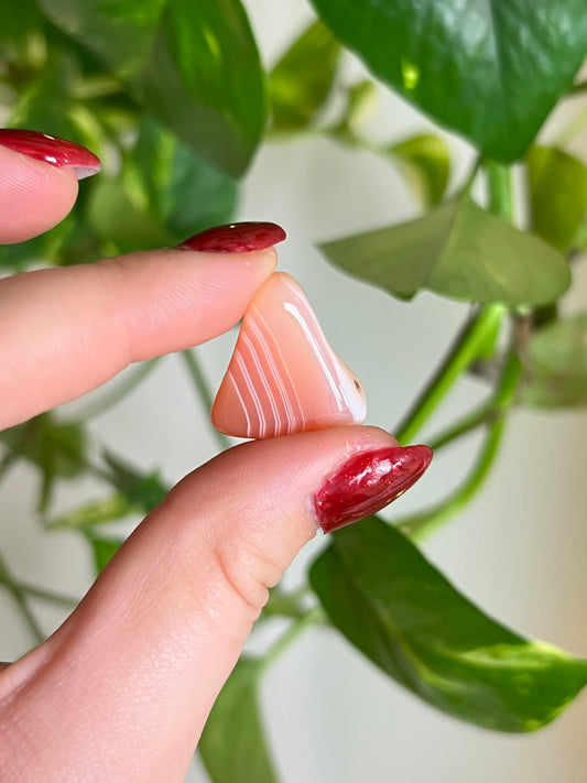 Apricot Agate Tumbled