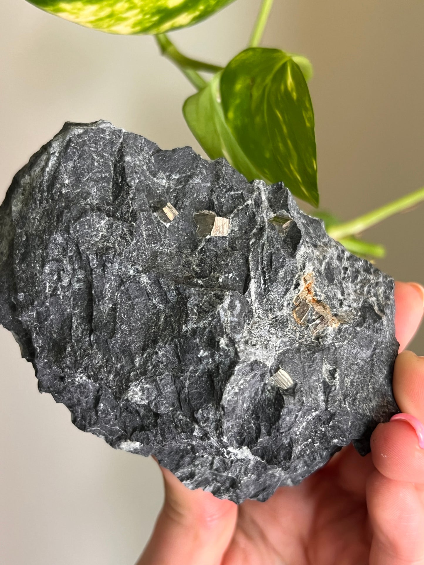 Pyrite on Matrix - Ontario - Large