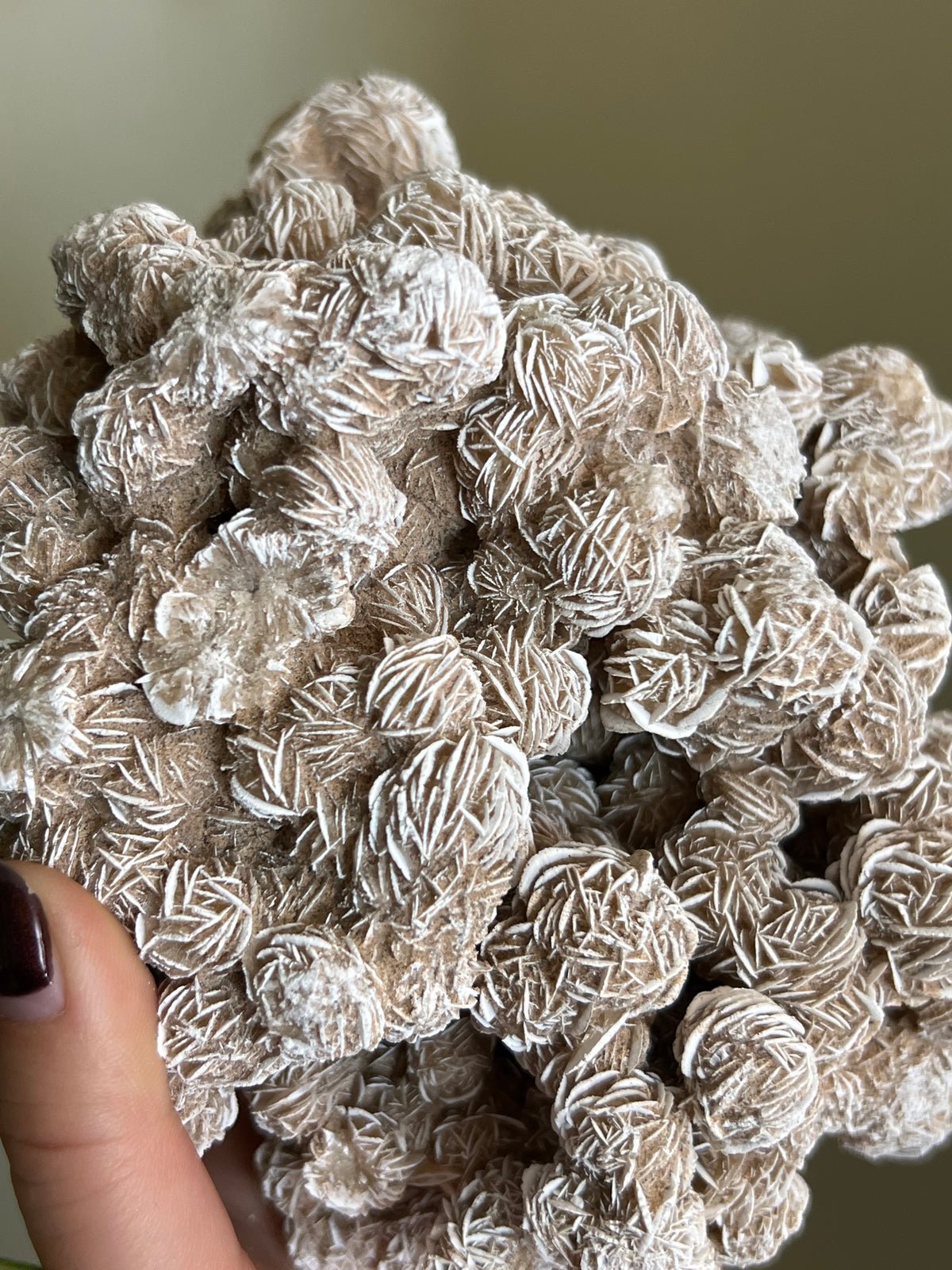 Desert Rose Selenite