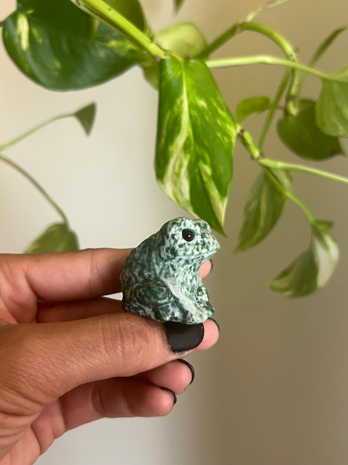 Green Spot Jasper Frog