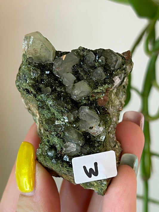 Forest Epidote Quartz Cluster - W