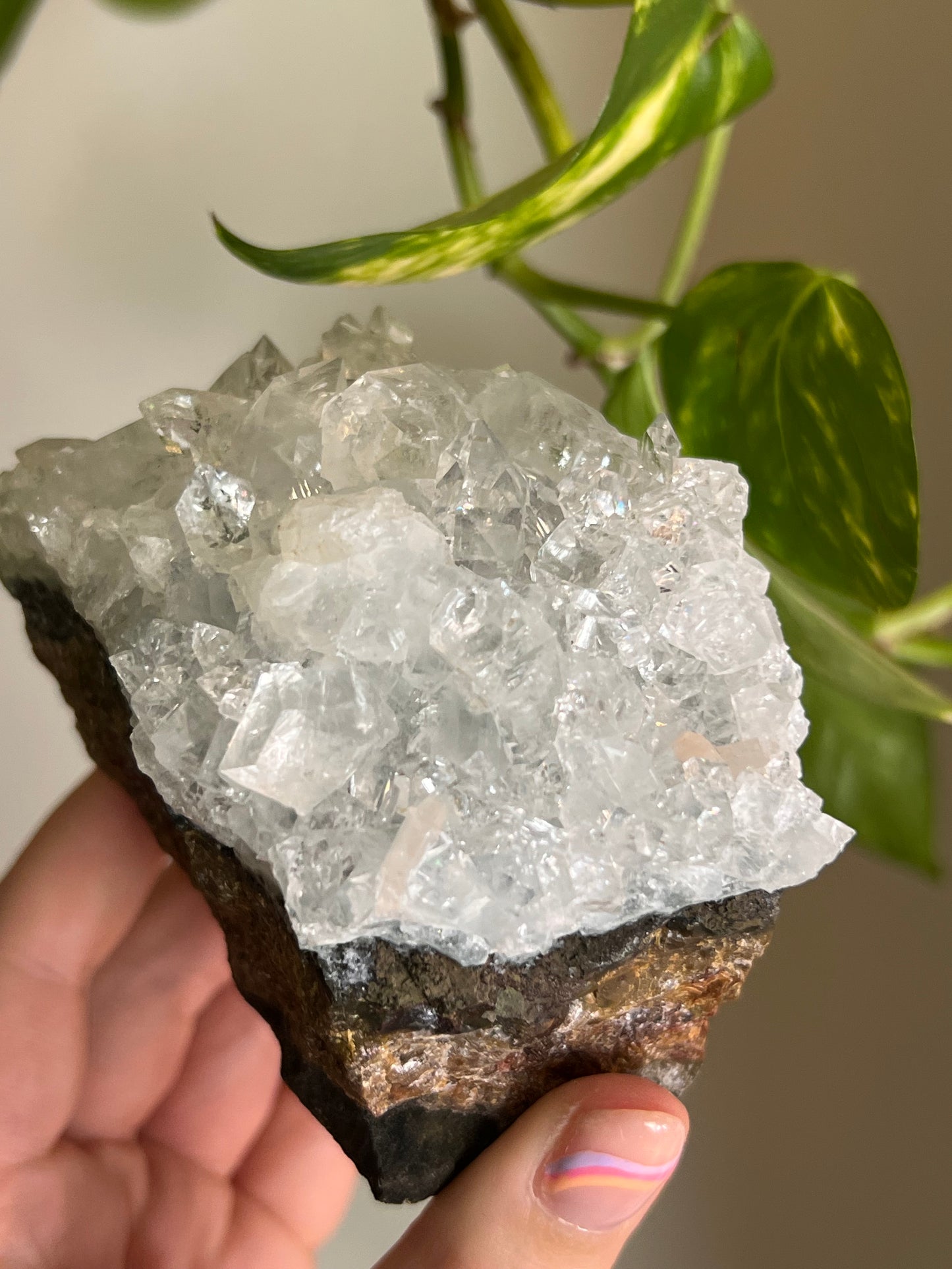 Apophyllite Cluster - I