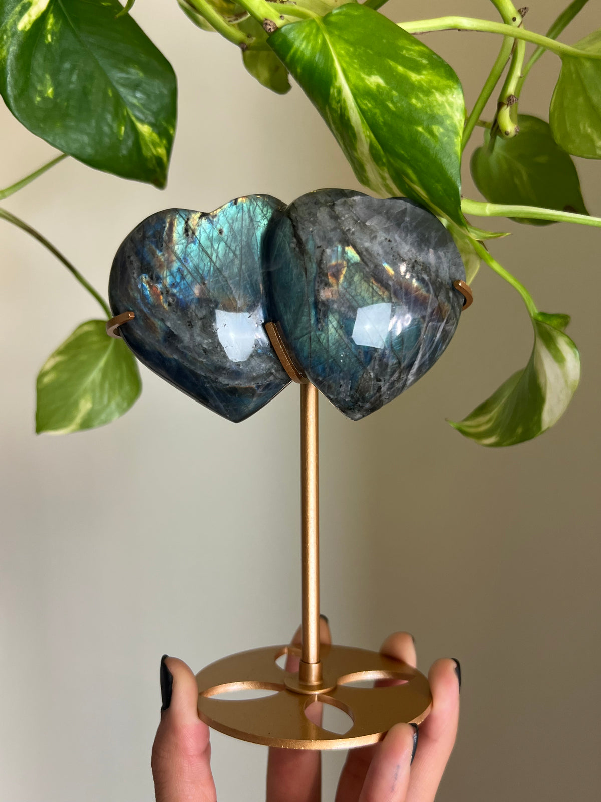 Flashy Labradorite Hugging Heart Duo on Stand