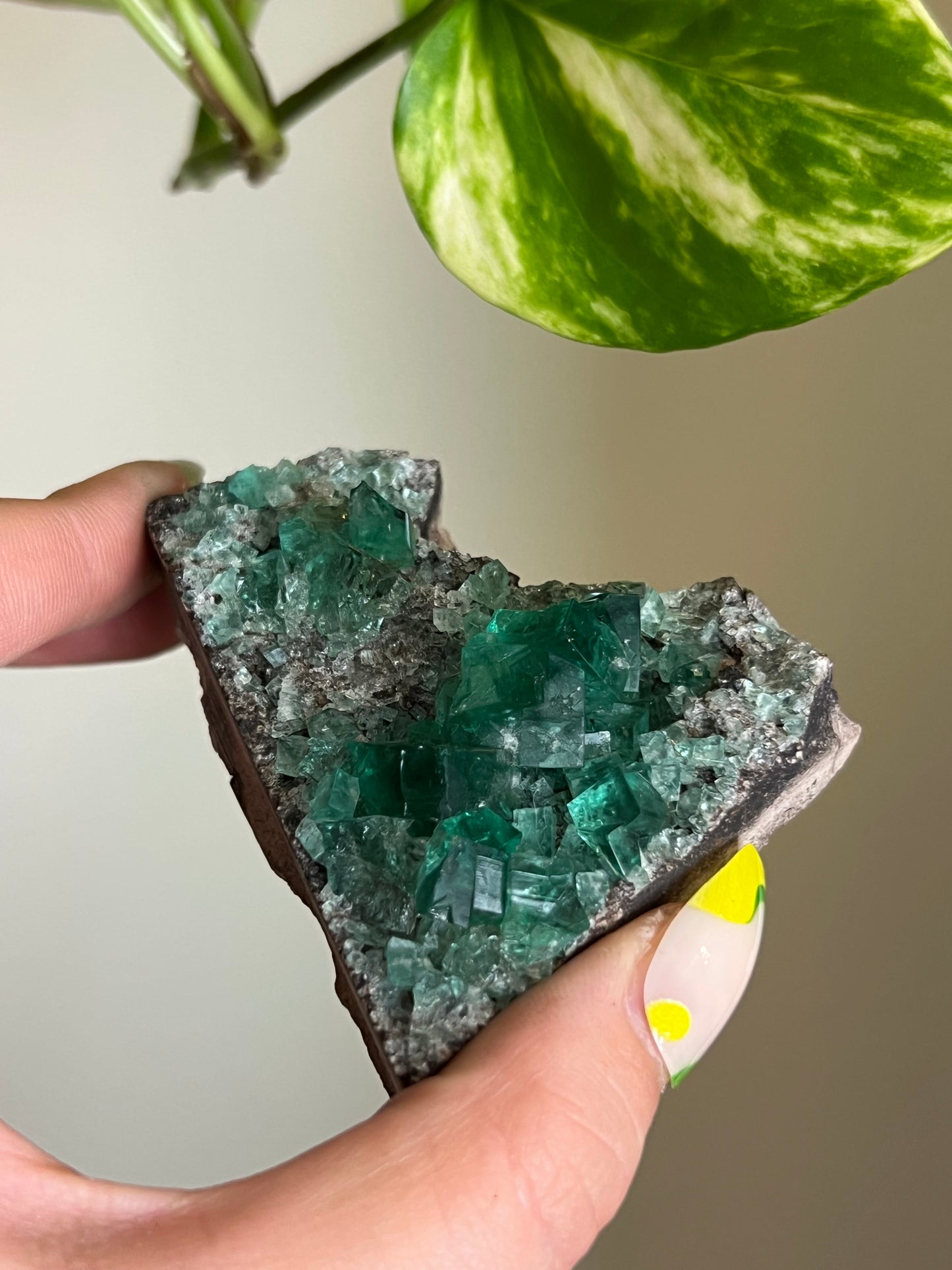 Green Cubic Fluorite Cluster - Z