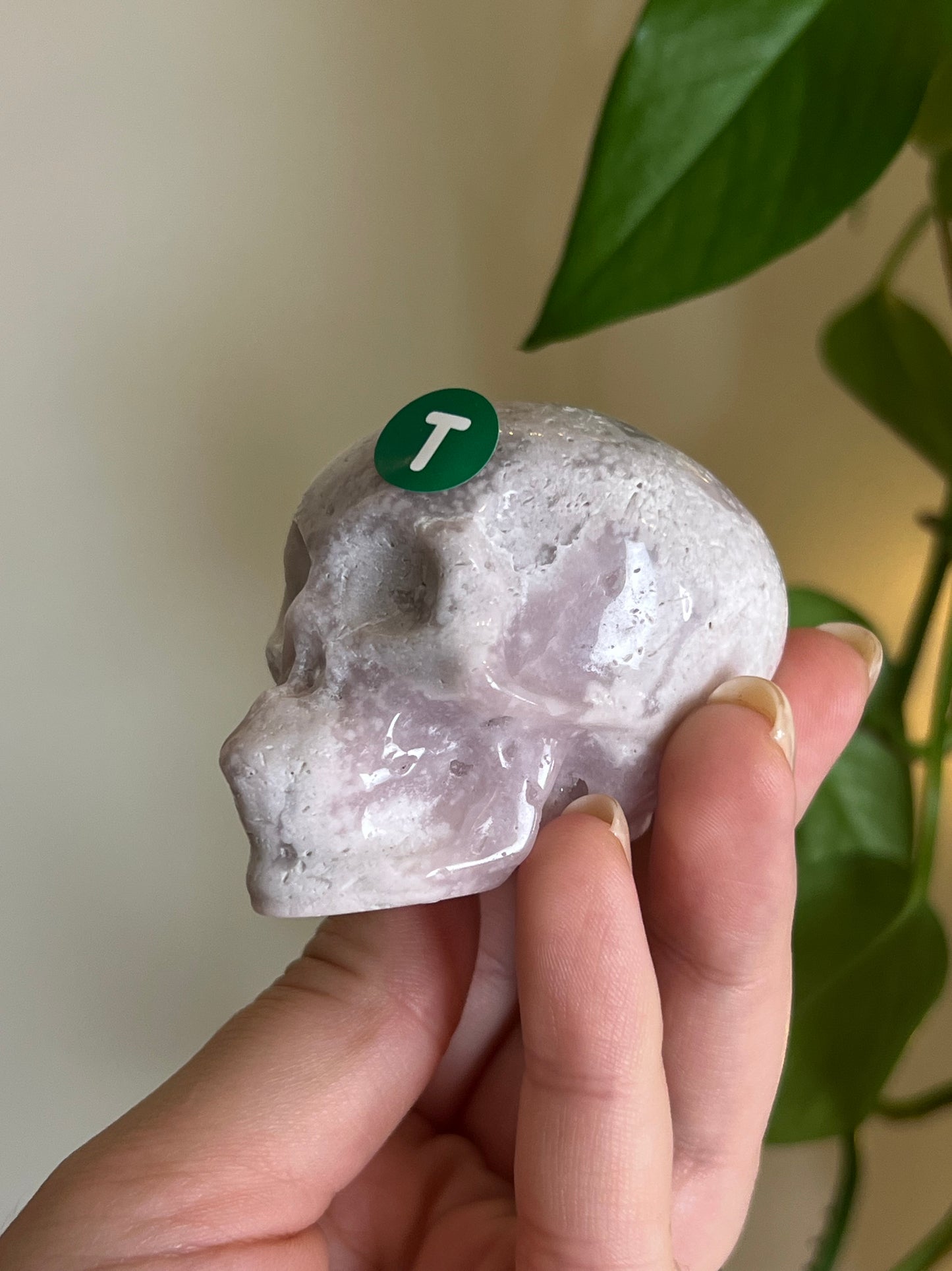 Pink Amethyst x Flower Agate Skull - T