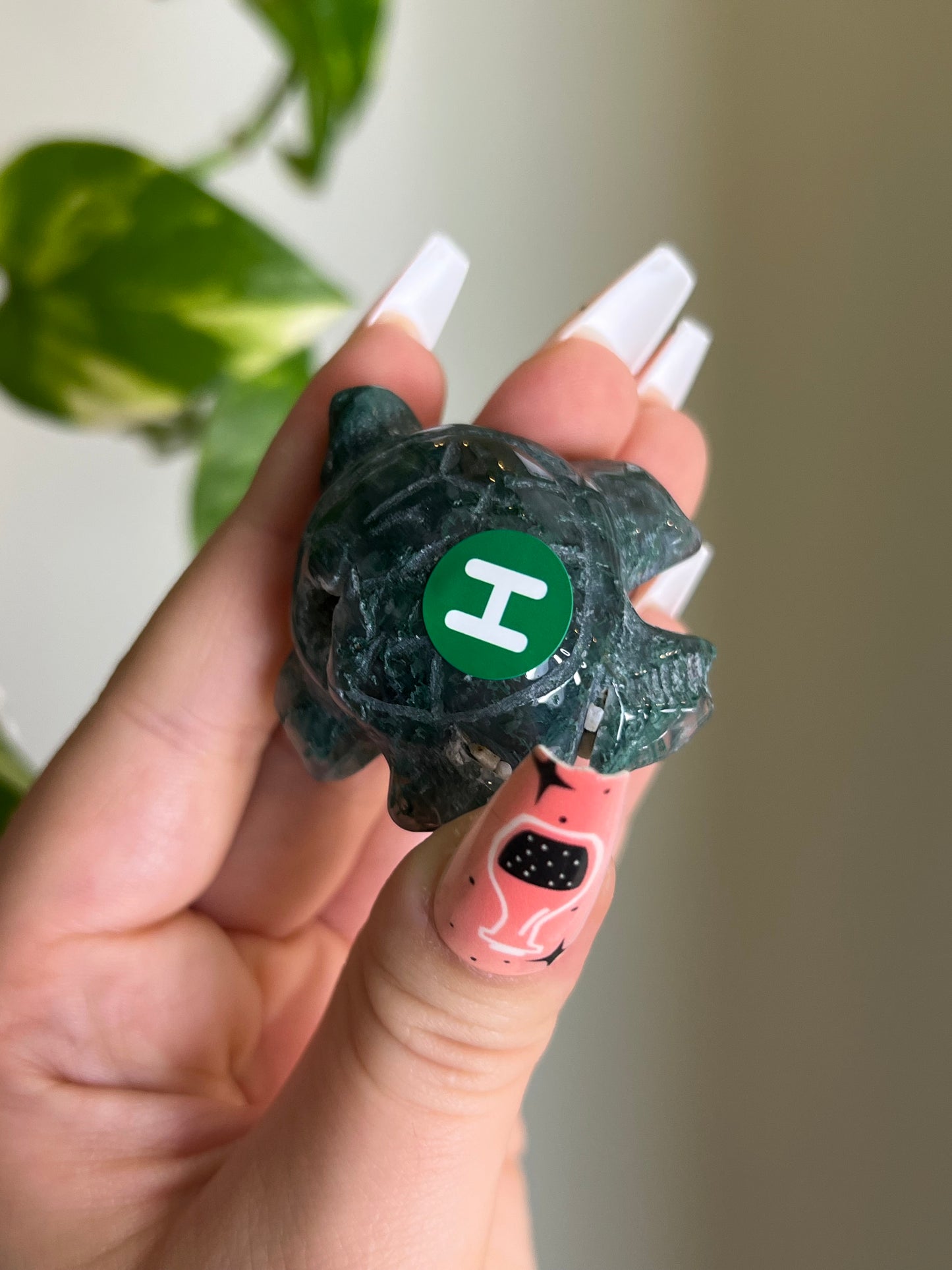 Moss Agate Sea Turtle - H 🐢