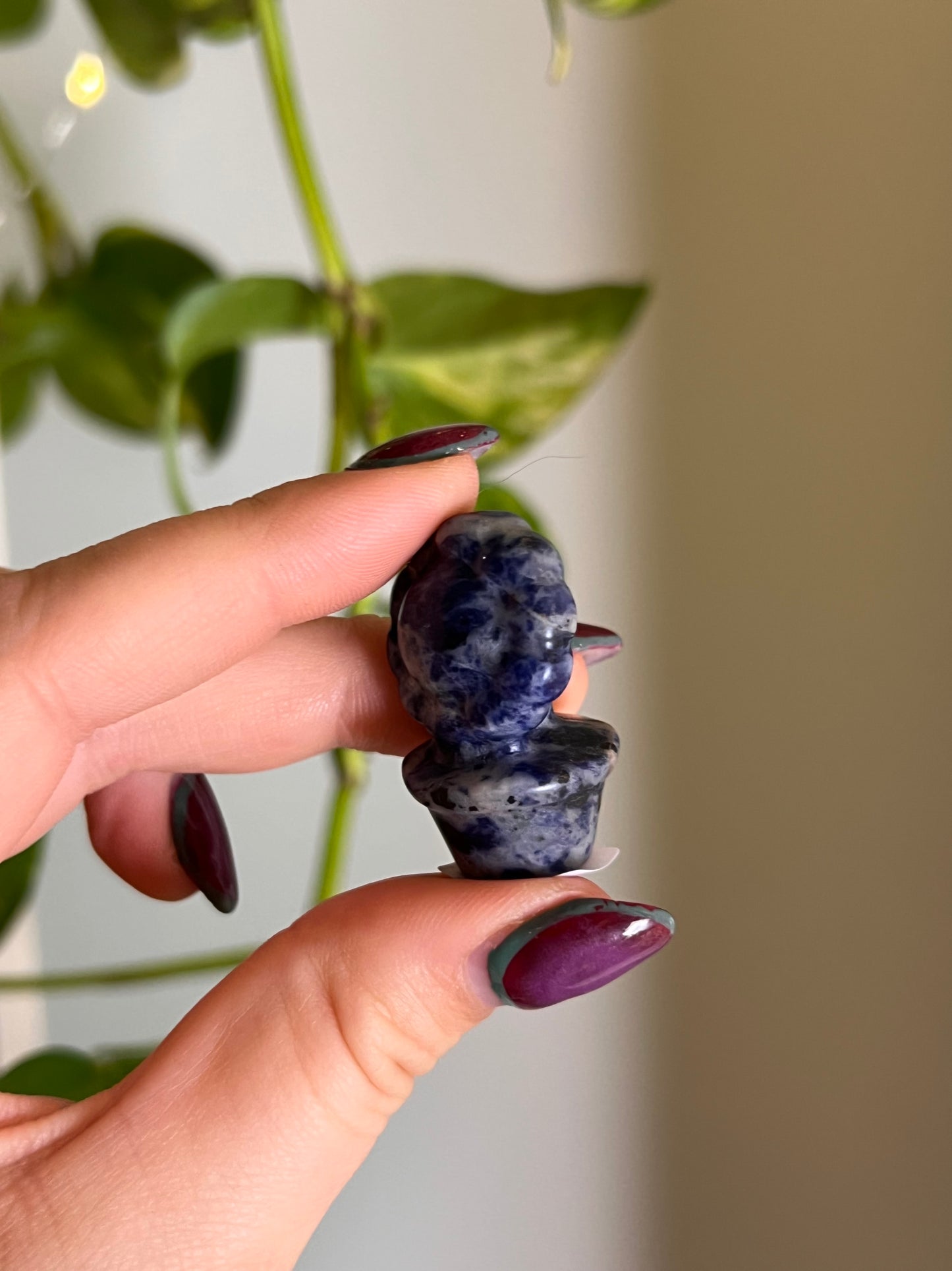 Sodalite Potted Sunflower