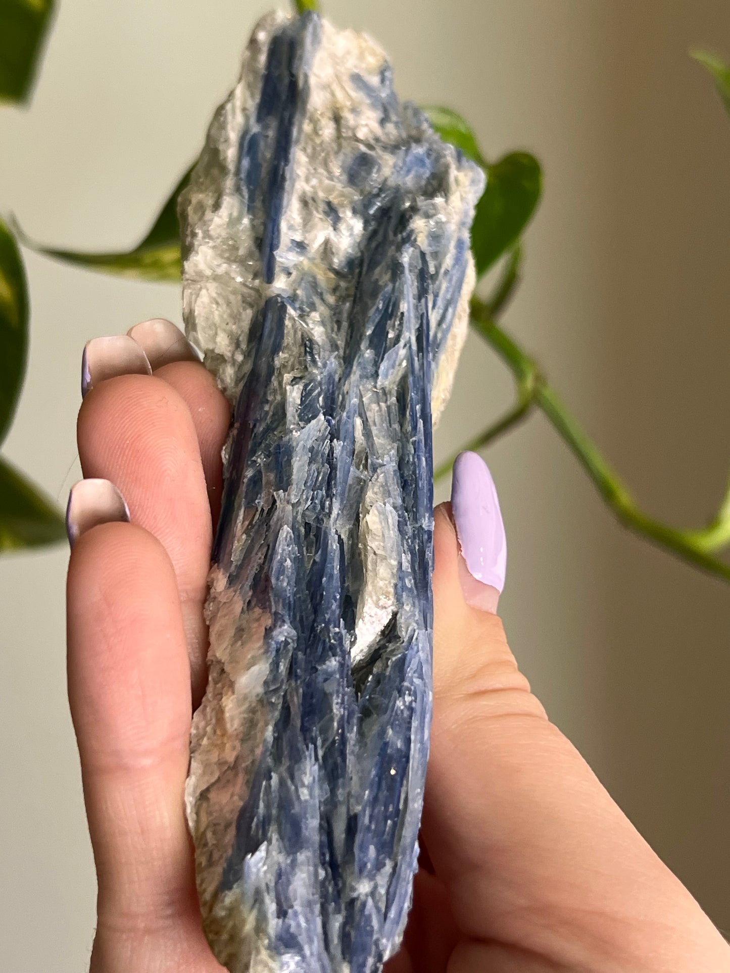 Blue Kyanite Raw Blade