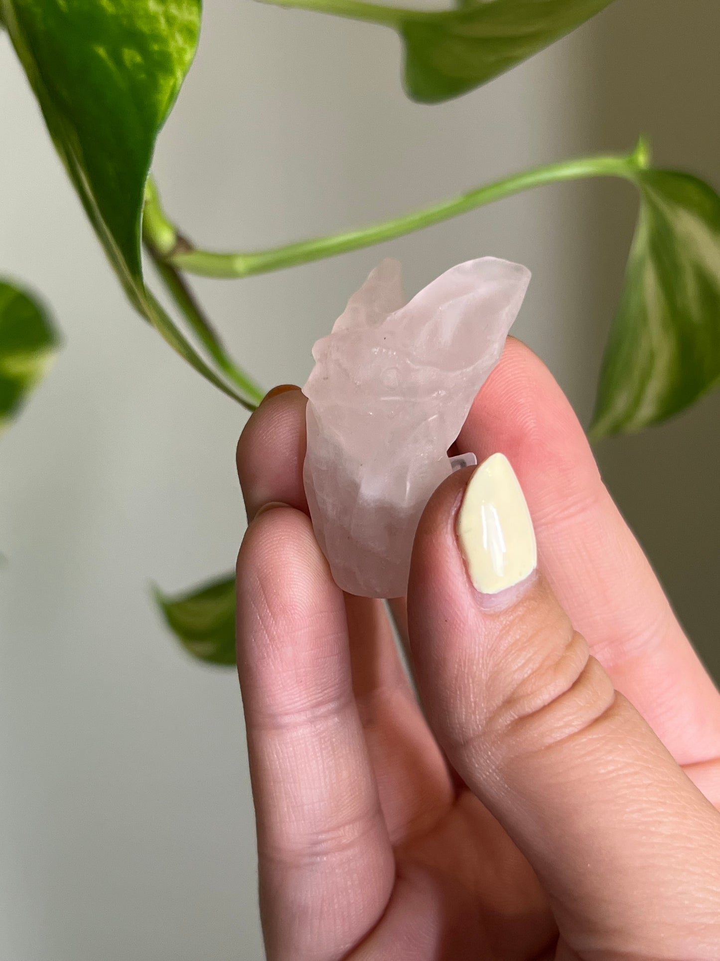 Rose Quartz Cozy Bat