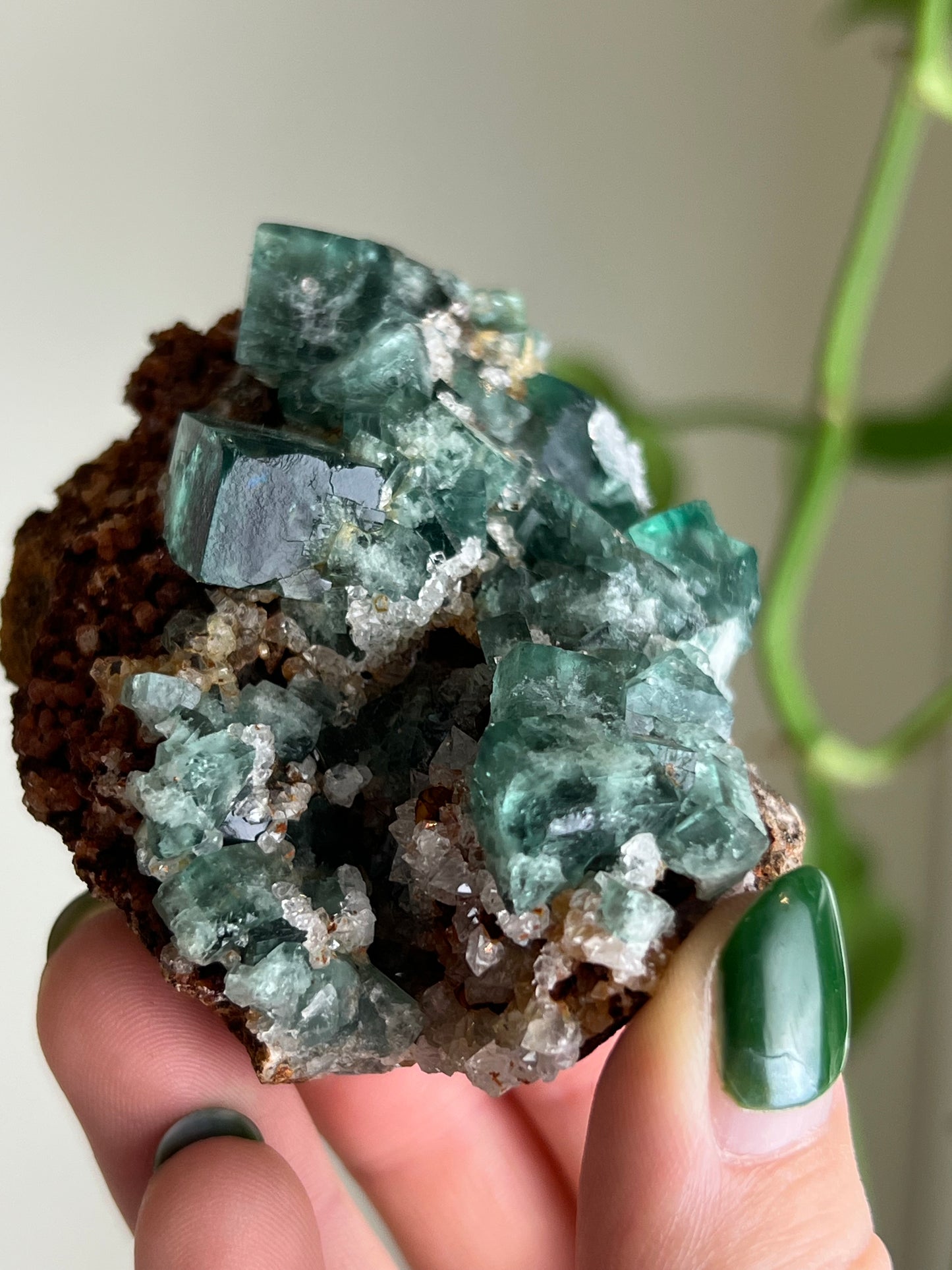 Cubic Sugar Druzy Fluorite - England