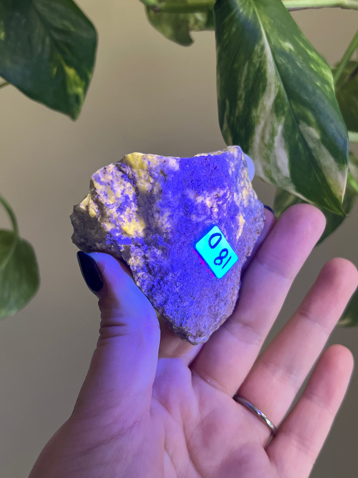 UV Reactive Meionite Scapolite Specimen - D
