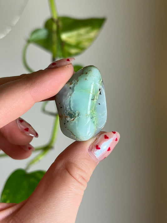 Australian Chrysoprase Tumbled