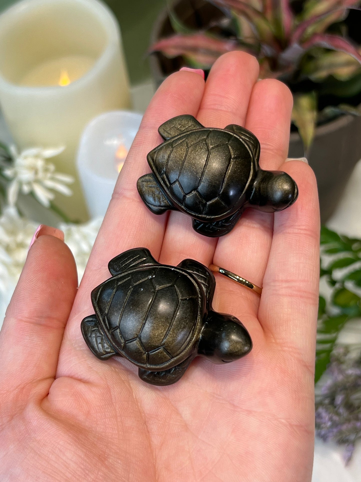 Gold Sheen Obsidian Sea Turtle