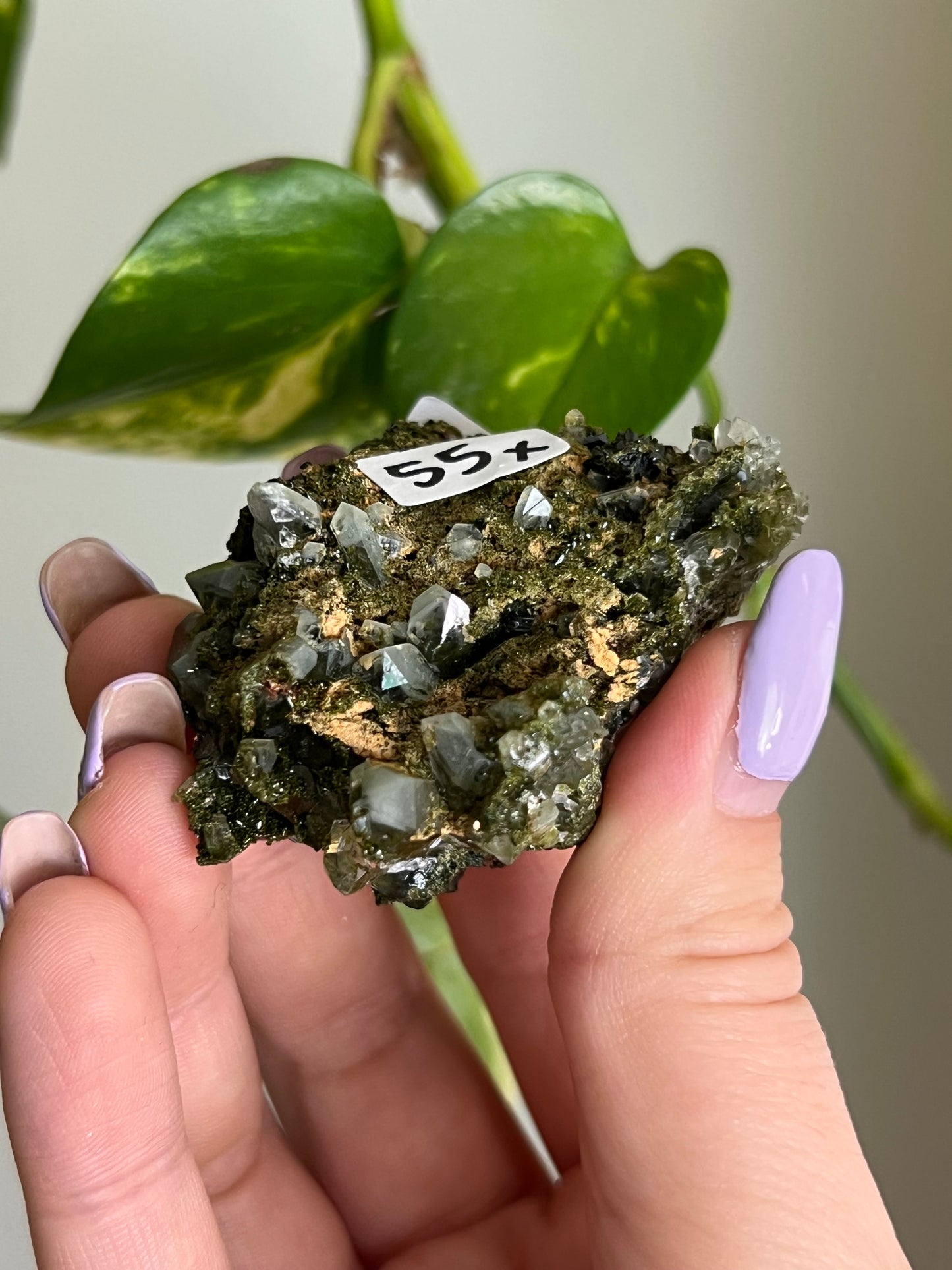 Forest Epidote Quartz Cluster - X