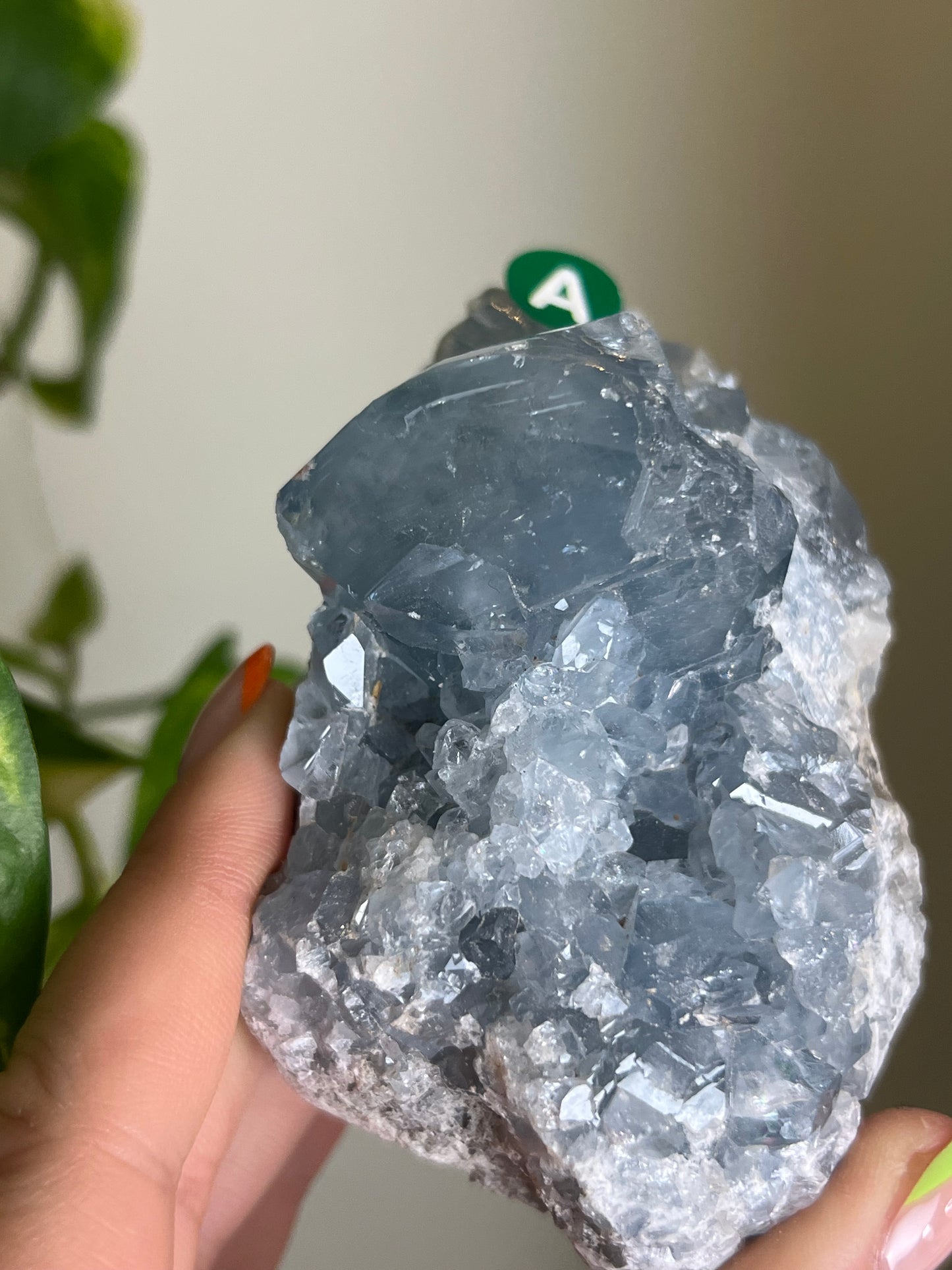 Celestite Cluster - A 🌊