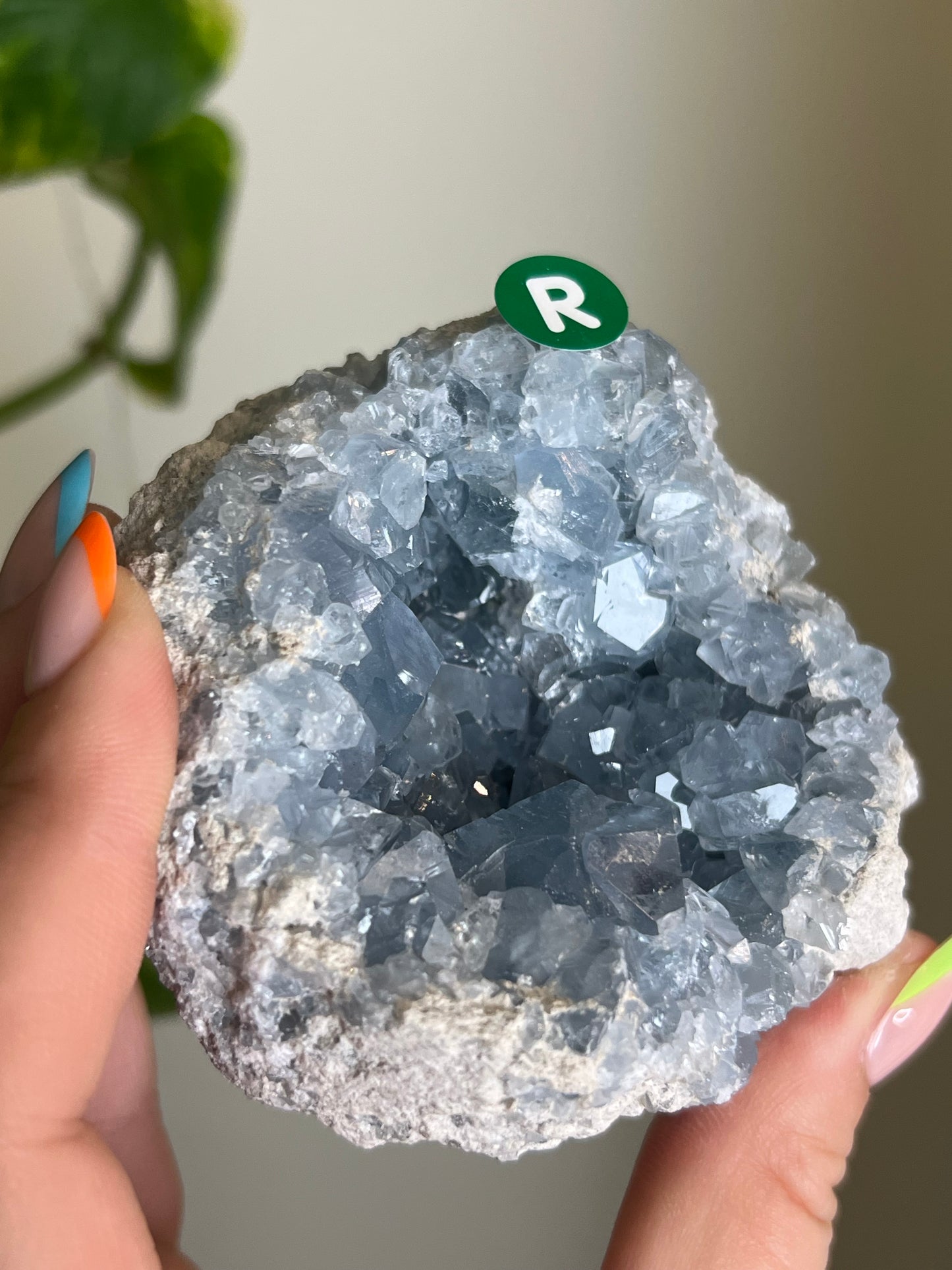 Celestite Cluster - R 🌊